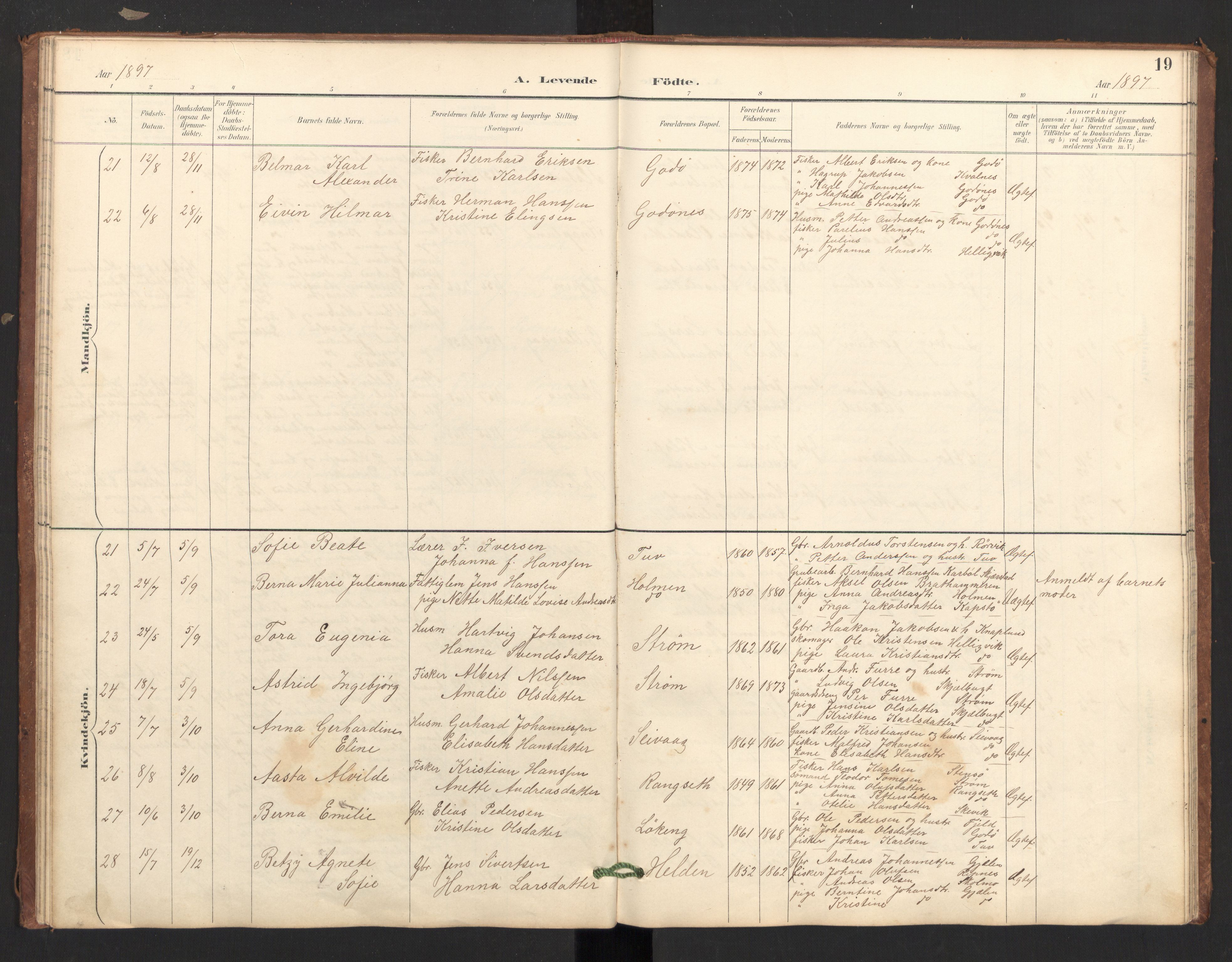 Ministerialprotokoller, klokkerbøker og fødselsregistre - Nordland, AV/SAT-A-1459/804/L0087: Parish register (official) no. 804A08, 1894-1907, p. 19