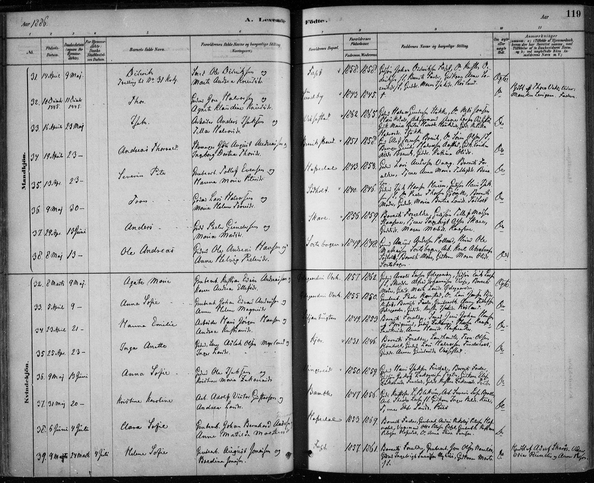 Bamble kirkebøker, AV/SAKO-A-253/F/Fa/L0007: Parish register (official) no. I 7, 1878-1888, p. 119