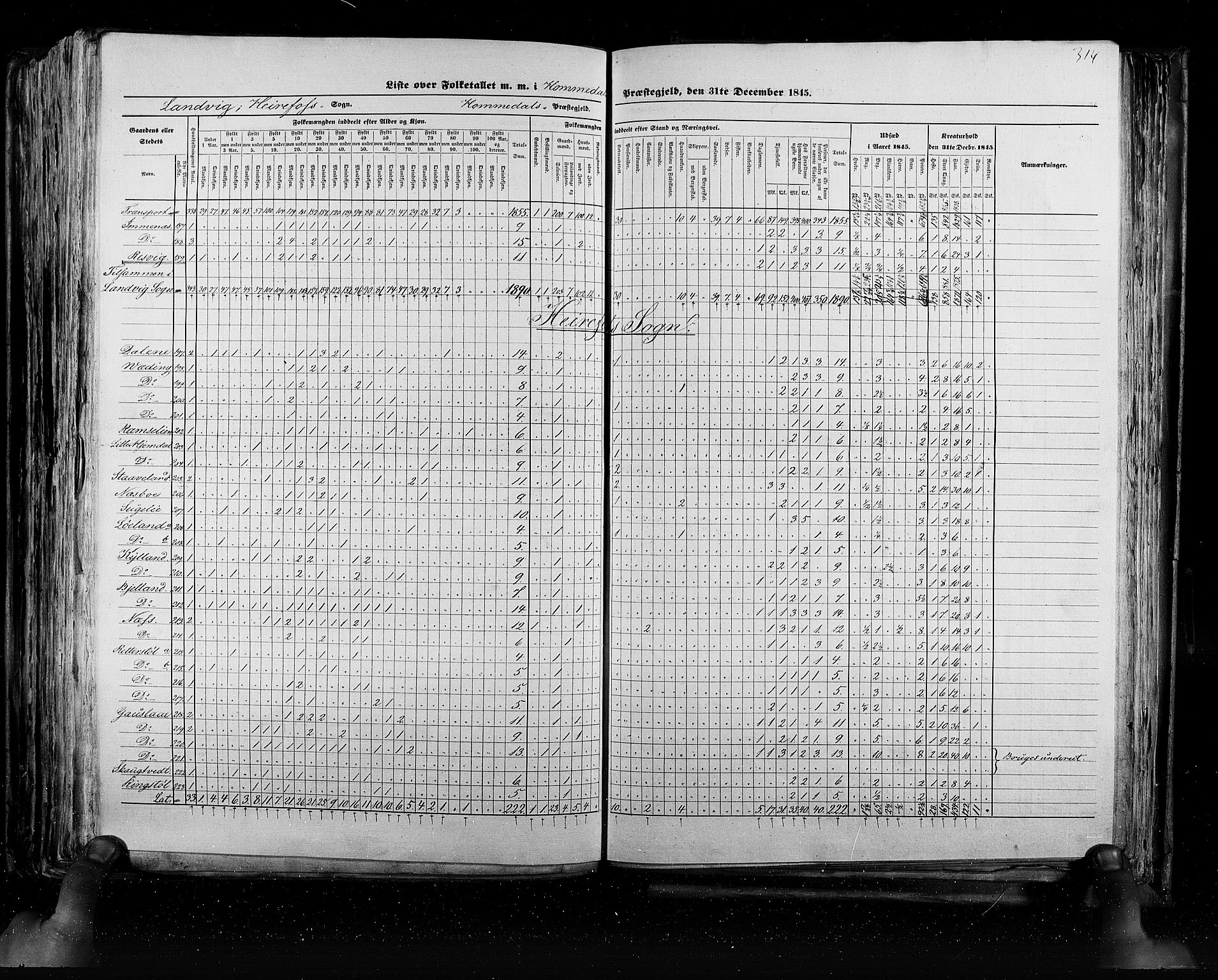 RA, Census 1845, vol. 5: Bratsberg amt og Nedenes og Råbyggelaget amt, 1845, p. 314