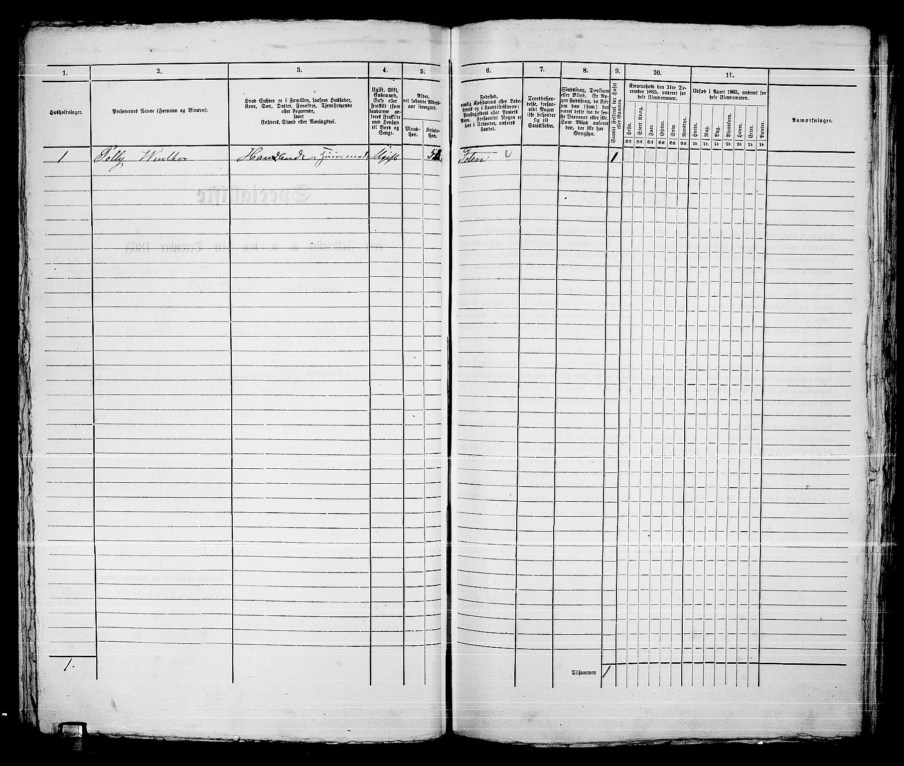 RA, 1865 census for Kongsberg/Kongsberg, 1865, p. 1227