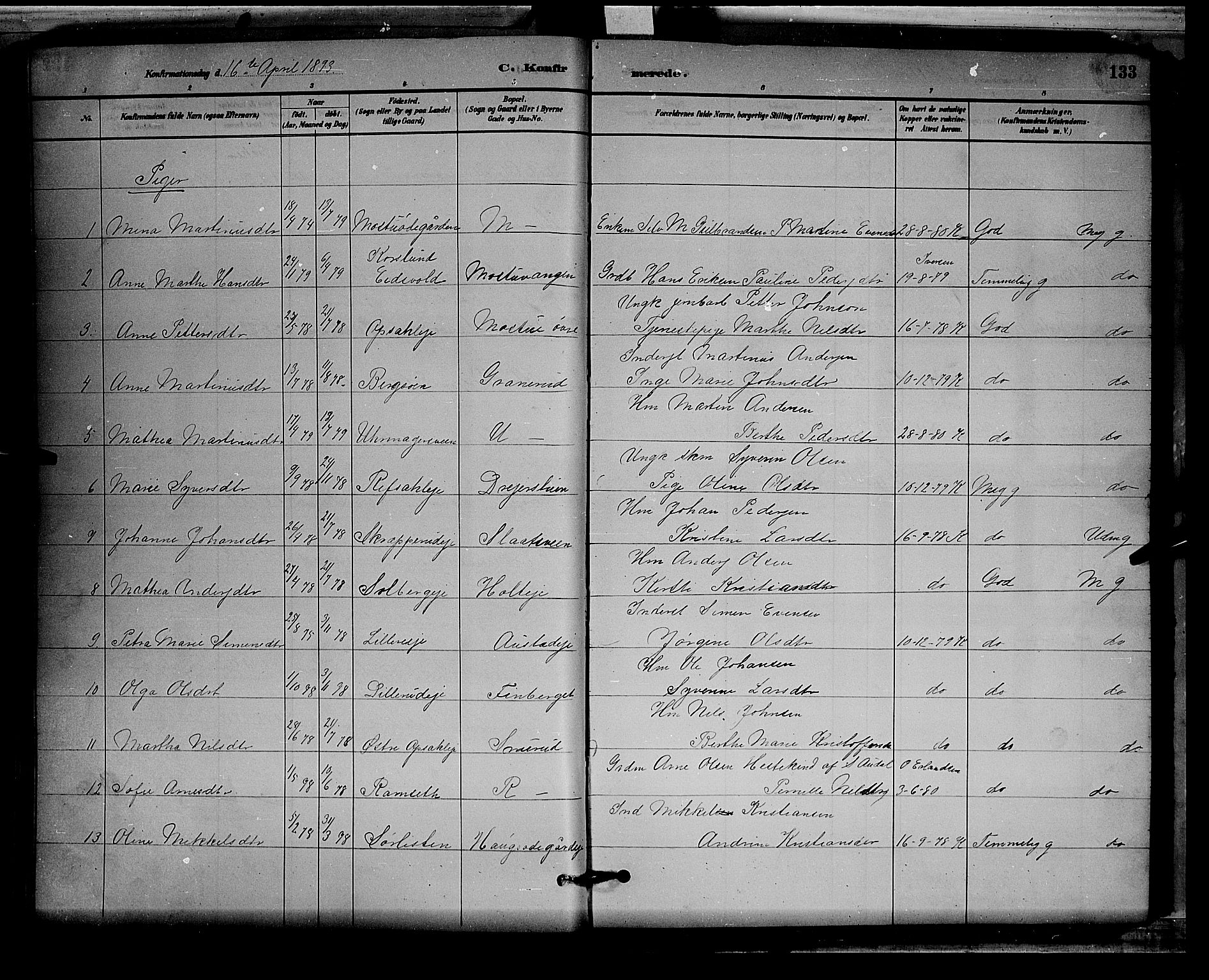 Stange prestekontor, AV/SAH-PREST-002/L/L0008: Parish register (copy) no. 8, 1882-1895, p. 133