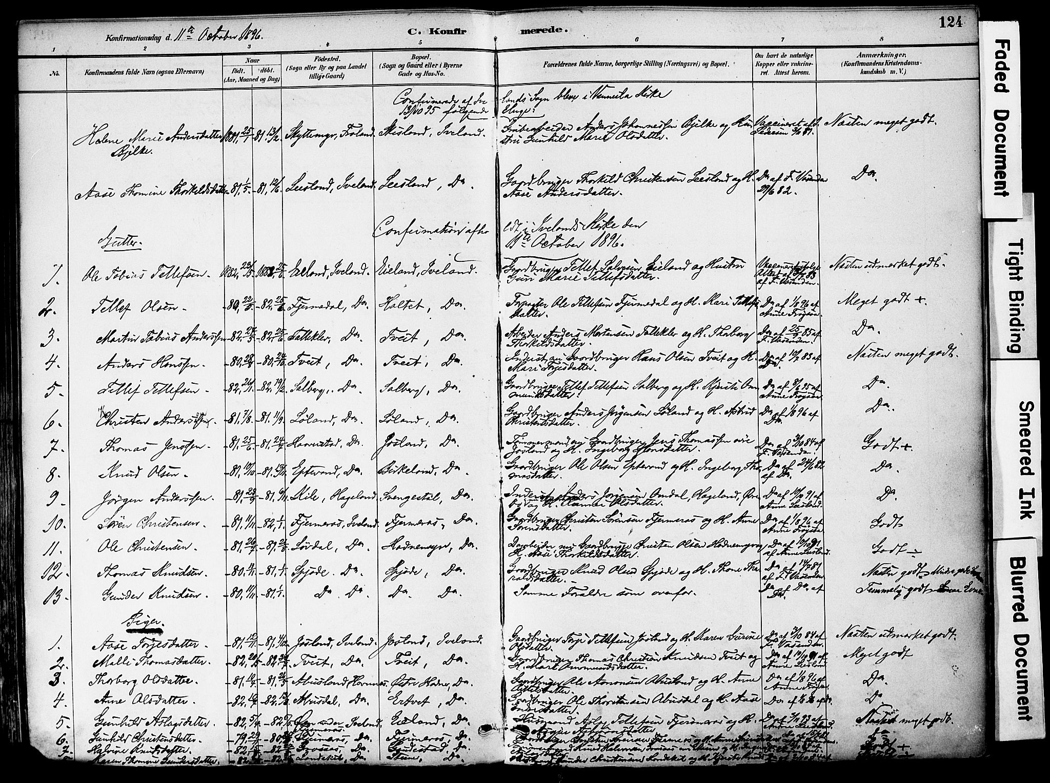 Evje sokneprestkontor, AV/SAK-1111-0008/F/Fa/Fac/L0003: Parish register (official) no. A 3, 1884-1909, p. 124