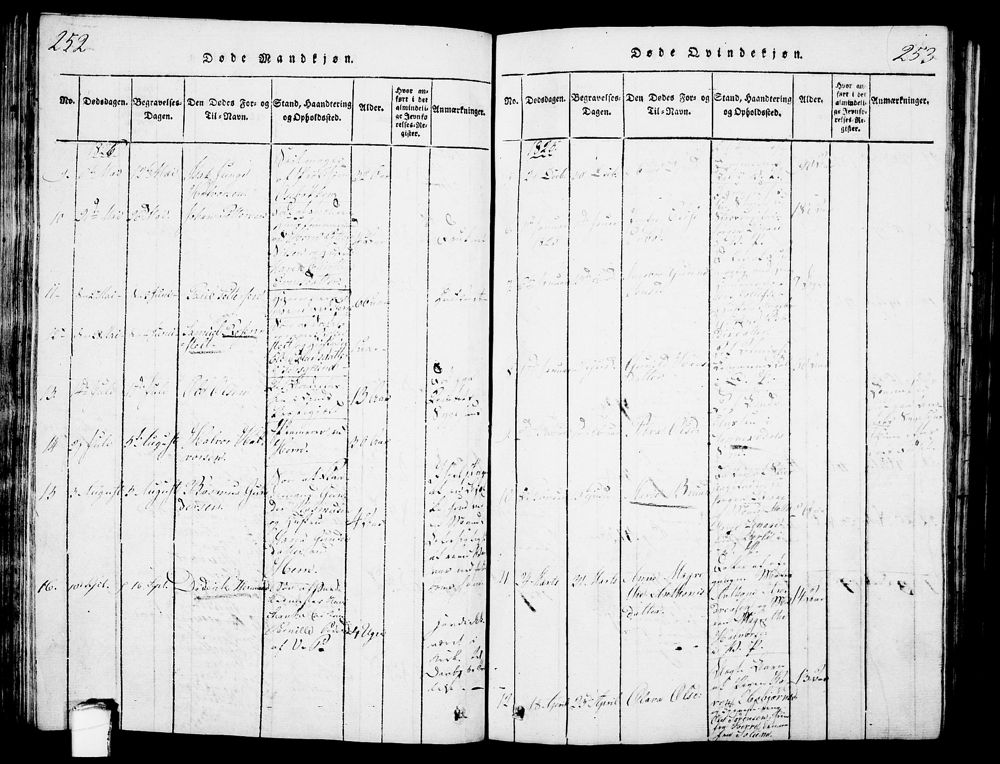 Porsgrunn kirkebøker , SAKO/A-104/G/Gb/L0001: Parish register (copy) no. II 1, 1817-1828, p. 252-253