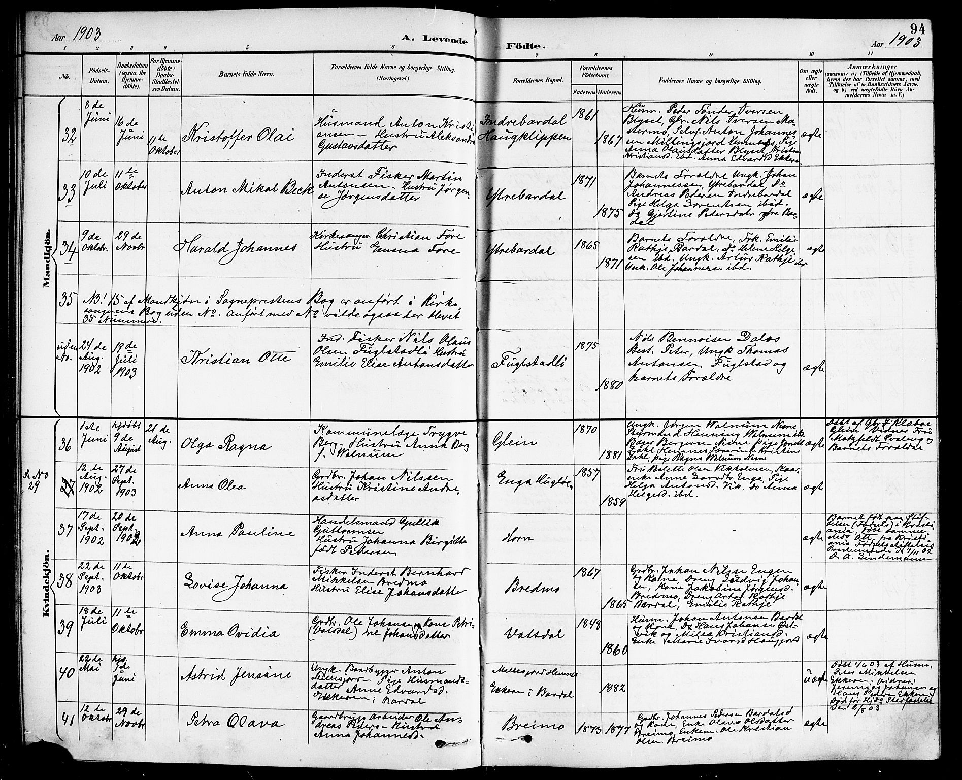 Ministerialprotokoller, klokkerbøker og fødselsregistre - Nordland, AV/SAT-A-1459/838/L0559: Parish register (copy) no. 838C06, 1893-1910, p. 94