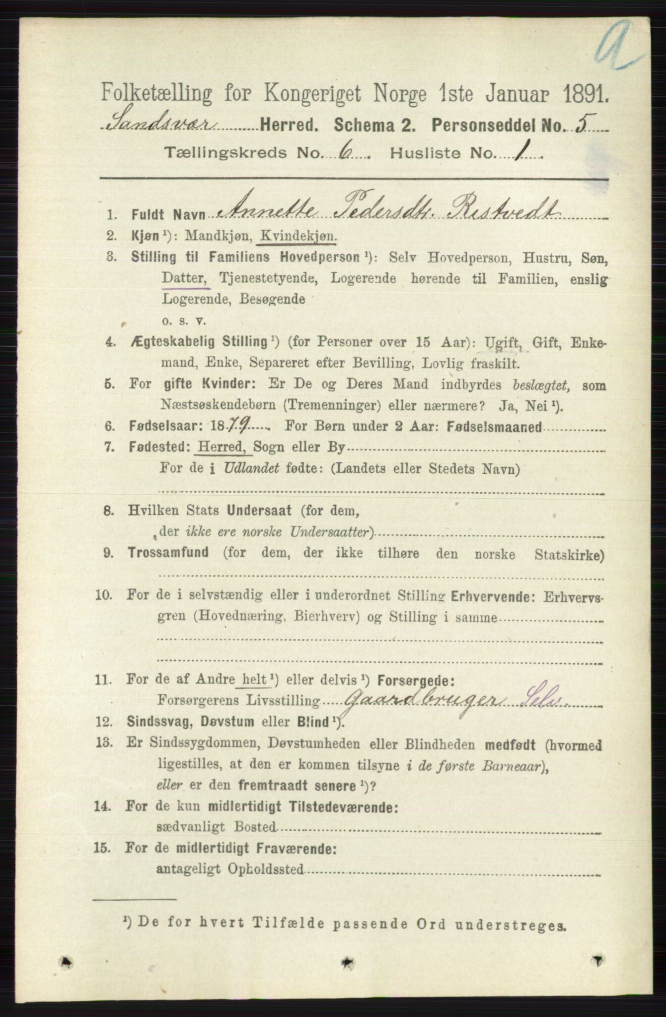 RA, 1891 census for 0629 Sandsvær, 1891, p. 3391