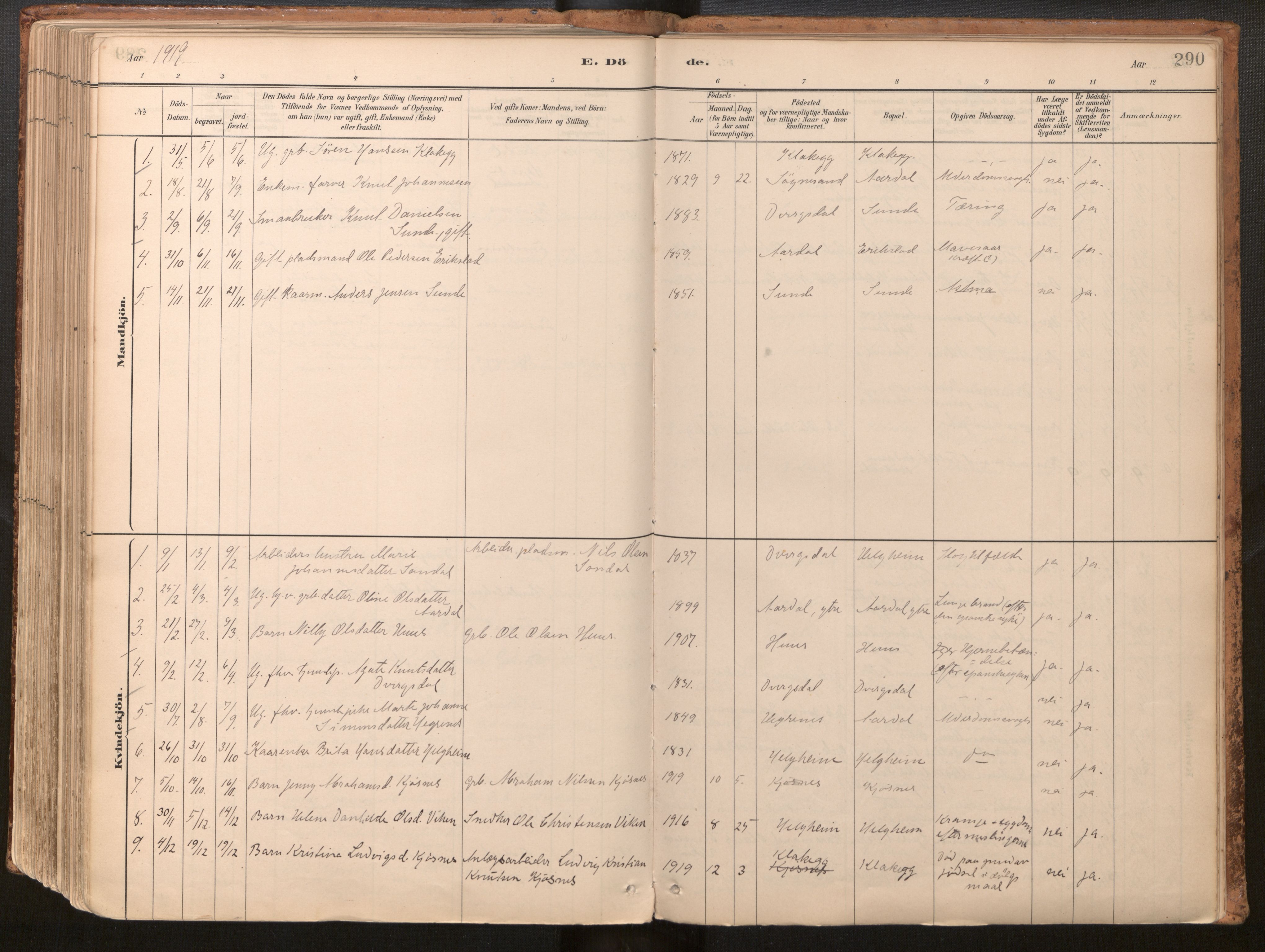 Jølster sokneprestembete, SAB/A-80701/H/Haa/Haac/L0001: Parish register (official) no. C 1, 1882-1928, p. 290