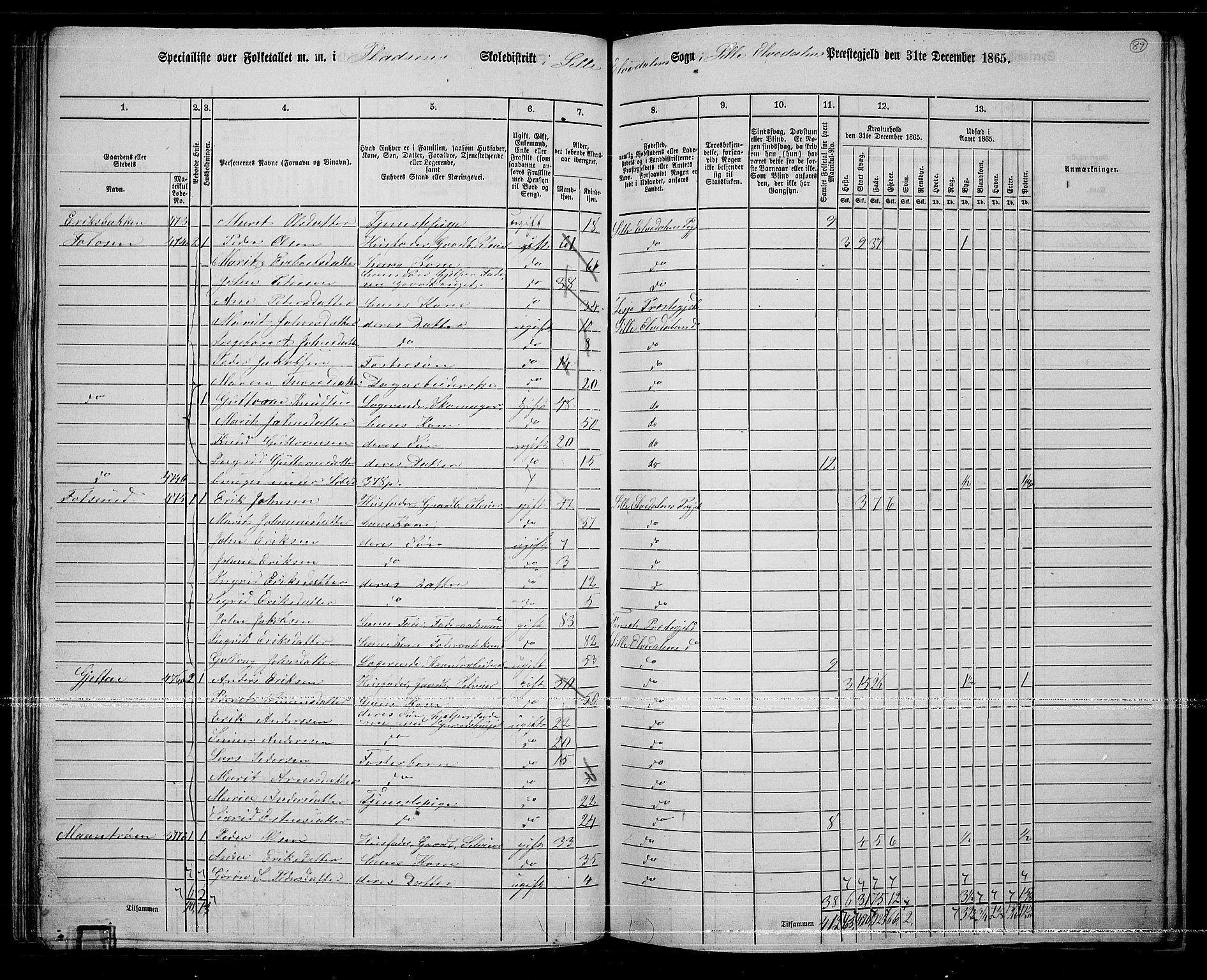 RA, 1865 census for Lille Elvedalen, 1865, p. 81