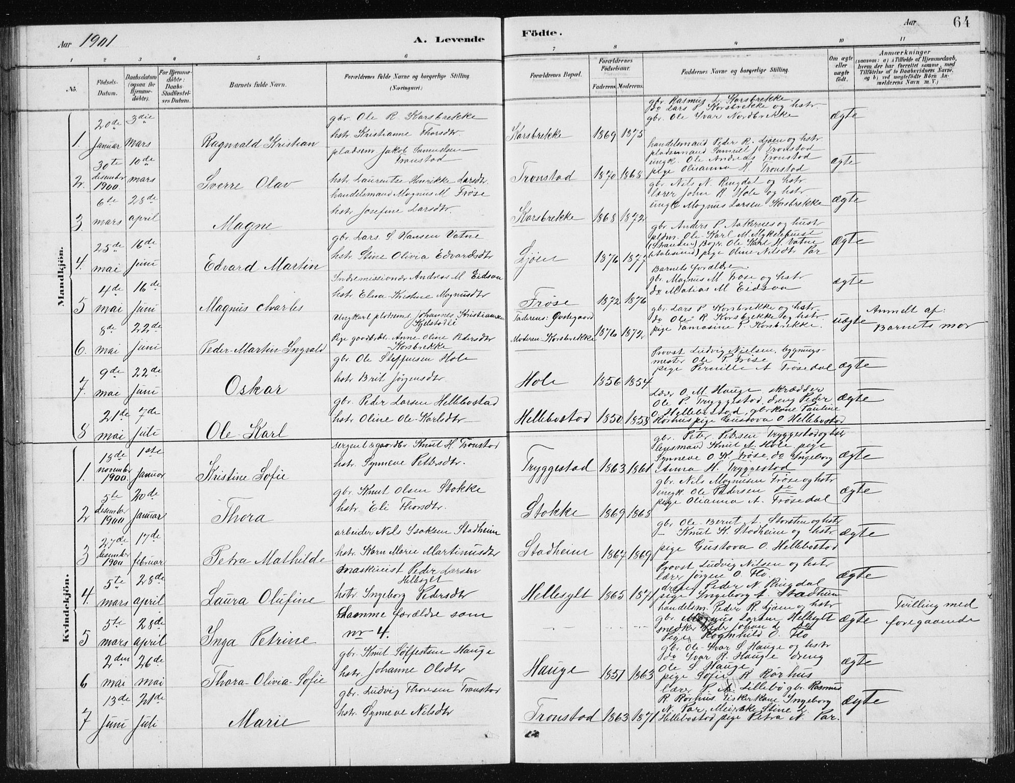 Ministerialprotokoller, klokkerbøker og fødselsregistre - Møre og Romsdal, SAT/A-1454/517/L0230: Parish register (copy) no. 517C03, 1879-1912, p. 64