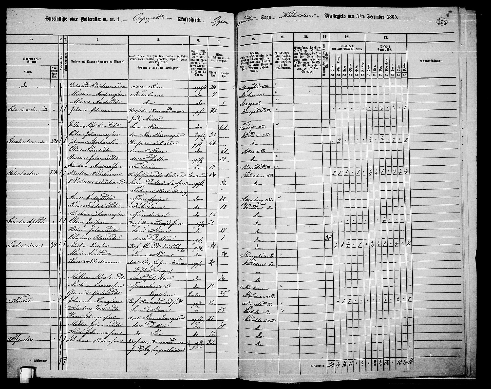 RA, 1865 census for Nesodden, 1865, p. 60