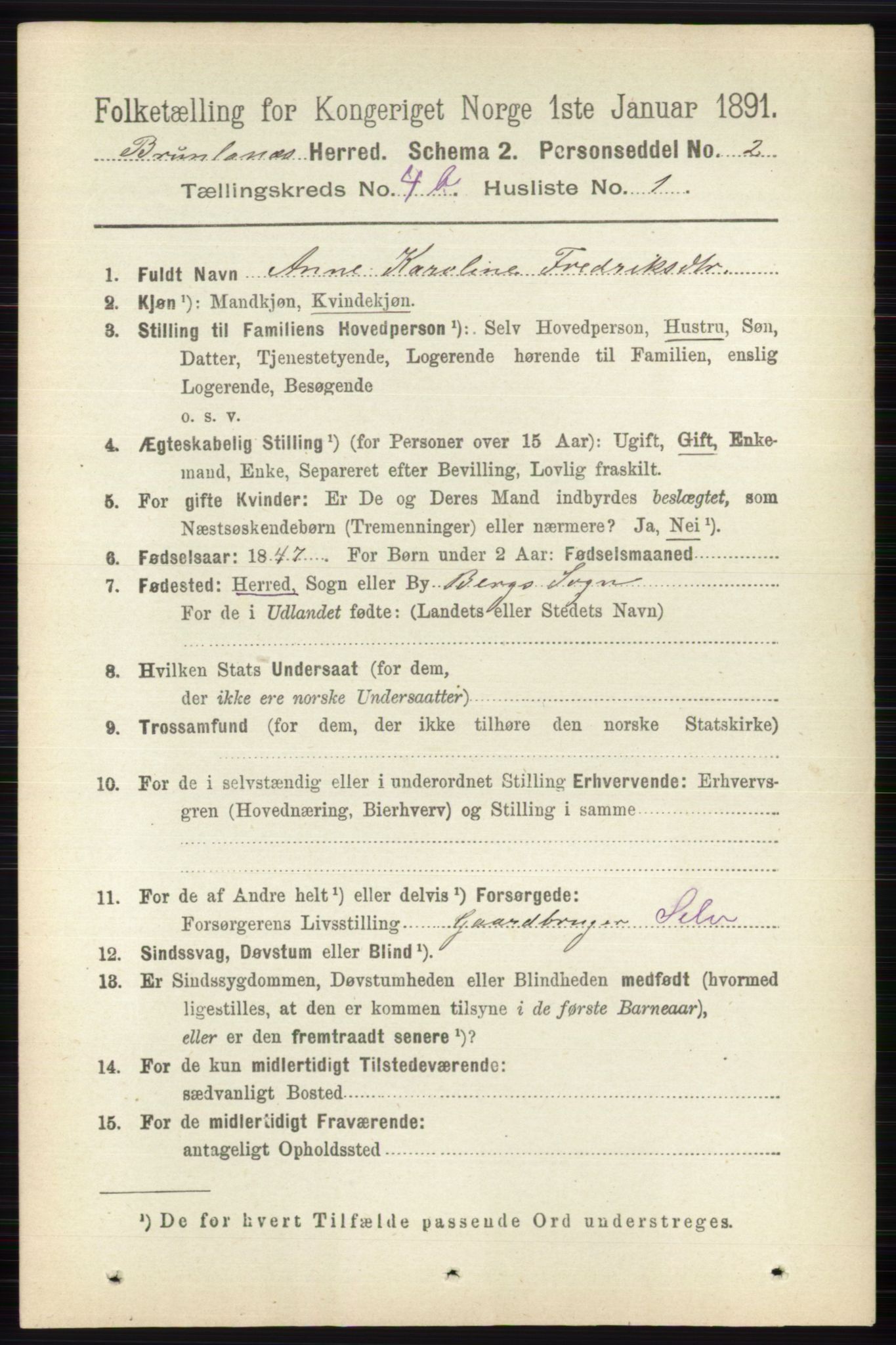 RA, 1891 census for 0726 Brunlanes, 1891, p. 2033