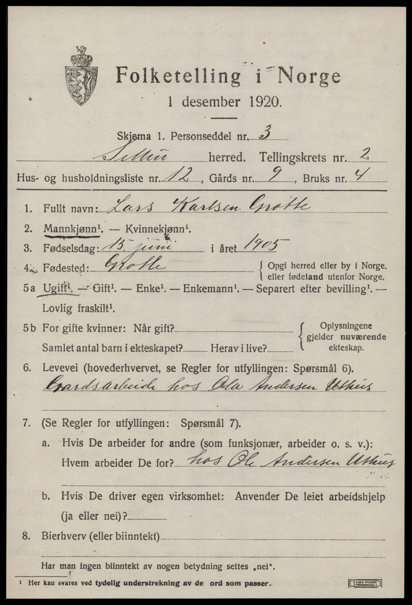 SAT, 1920 census for Selbu, 1920, p. 2054