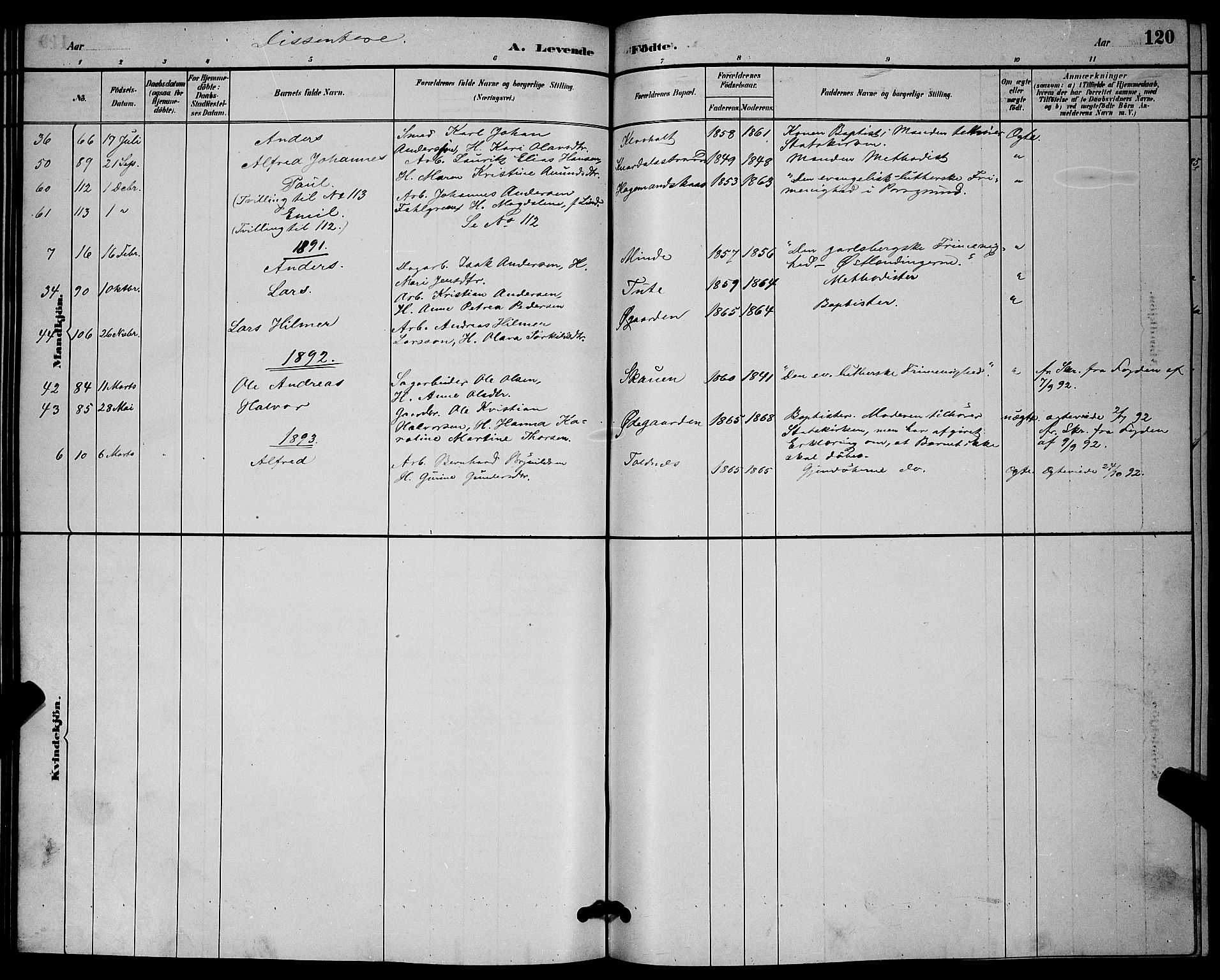 Solum kirkebøker, SAKO/A-306/G/Ga/L0007: Parish register (copy) no. I 7, 1884-1898, p. 120