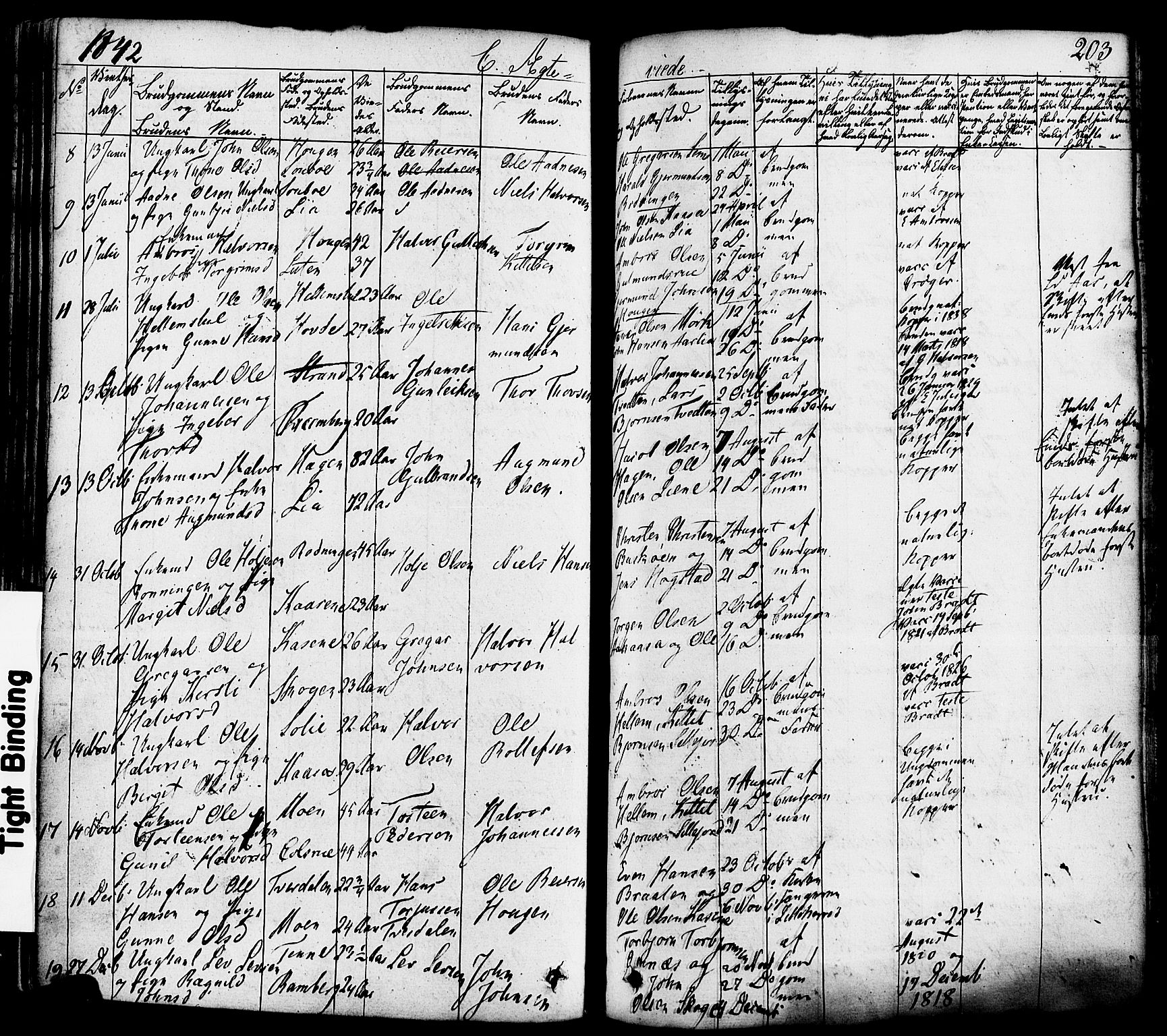 Heddal kirkebøker, SAKO/A-268/F/Fa/L0006: Parish register (official) no. I 6, 1837-1854, p. 203