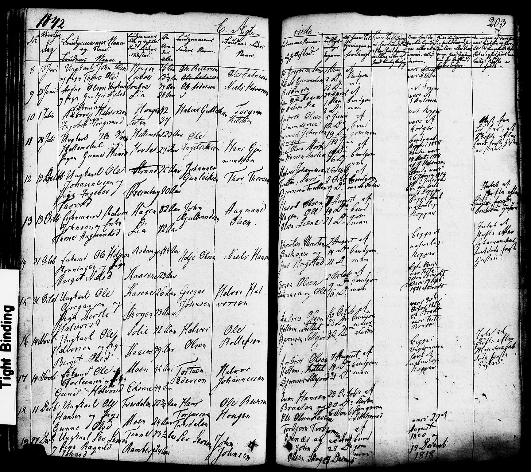 Heddal kirkebøker, AV/SAKO-A-268/F/Fa/L0006: Parish register (official) no. I 6, 1837-1854, p. 203