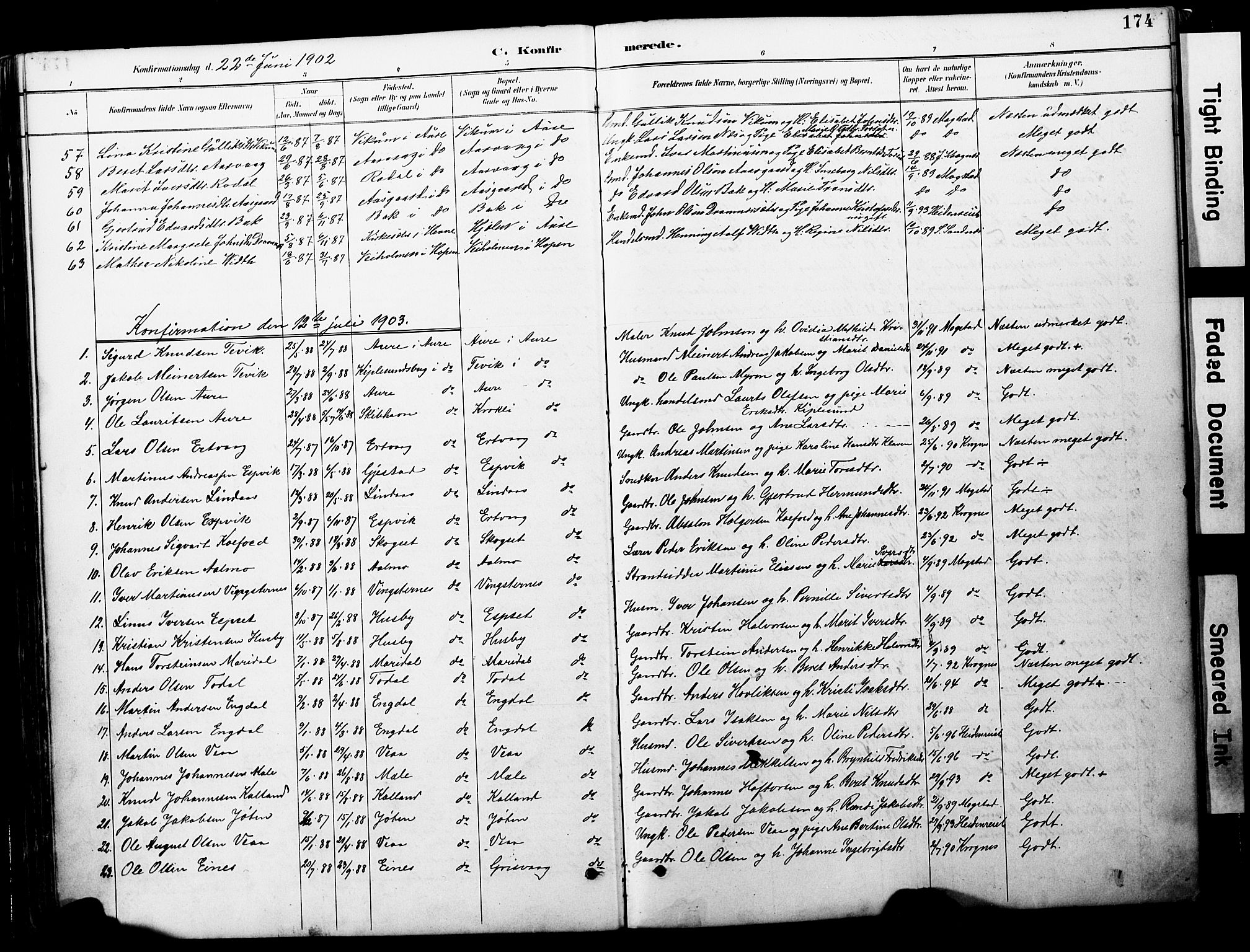 Ministerialprotokoller, klokkerbøker og fødselsregistre - Møre og Romsdal, AV/SAT-A-1454/578/L0907: Parish register (official) no. 578A06, 1887-1904, p. 174