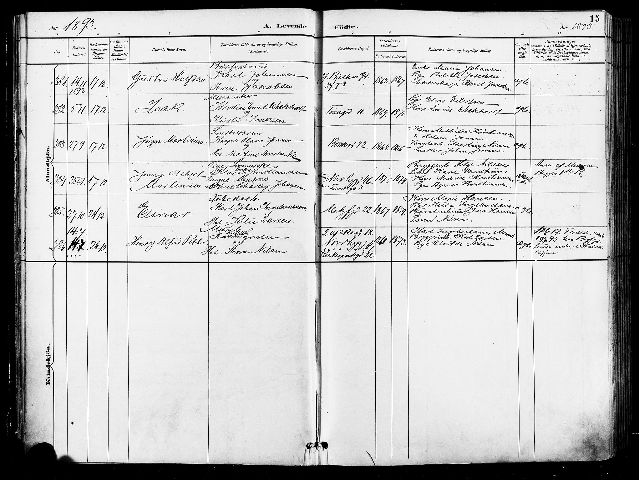 Grønland prestekontor Kirkebøker, SAO/A-10848/F/Fa/L0012: Parish register (official) no. 12, 1893-1900, p. 15