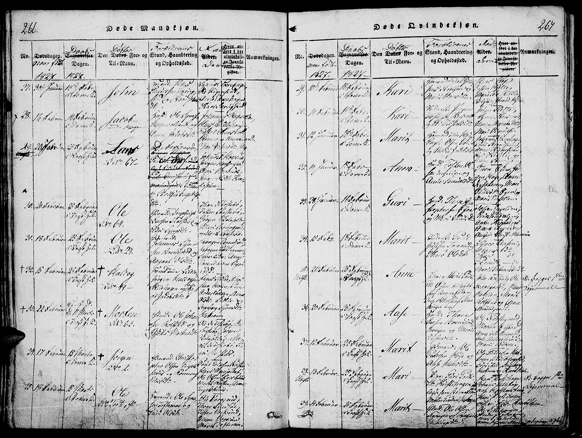 Lesja prestekontor, SAH/PREST-068/H/Ha/Haa/L0004: Parish register (official) no. 4, 1820-1829, p. 266-267