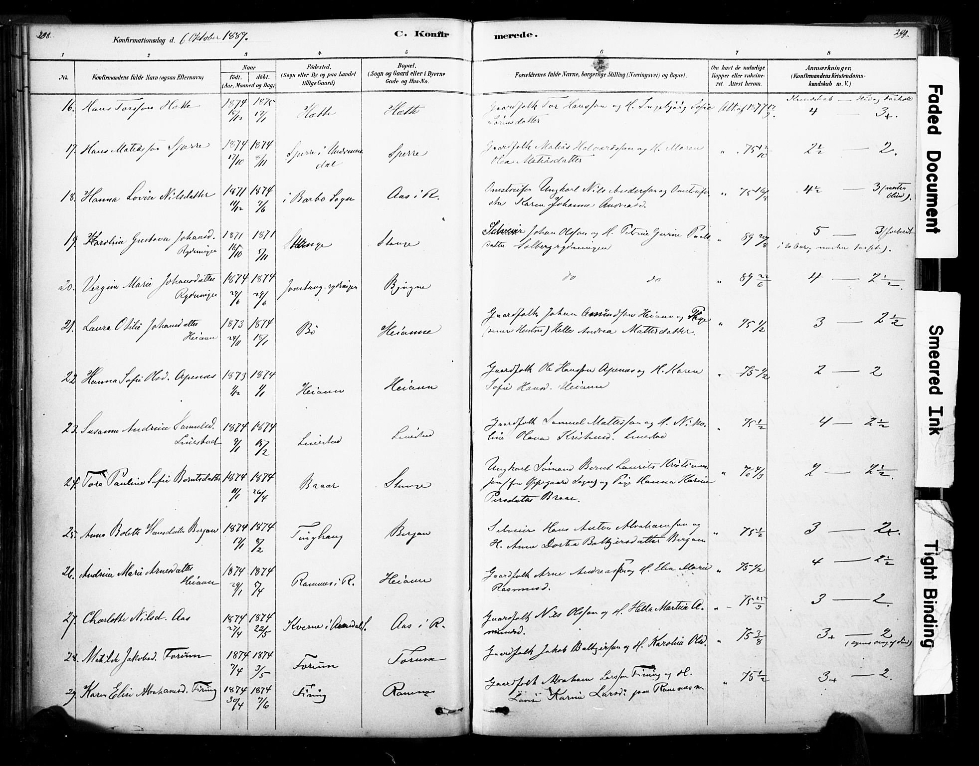 Ramnes kirkebøker, SAKO/A-314/F/Fa/L0007: Parish register (official) no. I 7, 1878-1895, p. 298-299