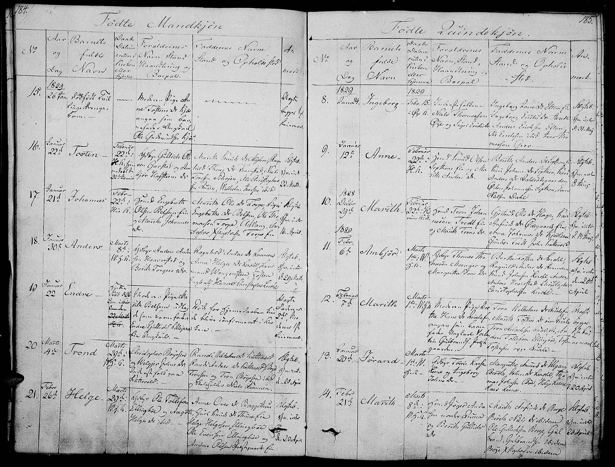 Vang prestekontor, Valdres, SAH/PREST-140/H/Ha/L0003: Parish register (official) no. 3, 1809-1831, p. 184-185