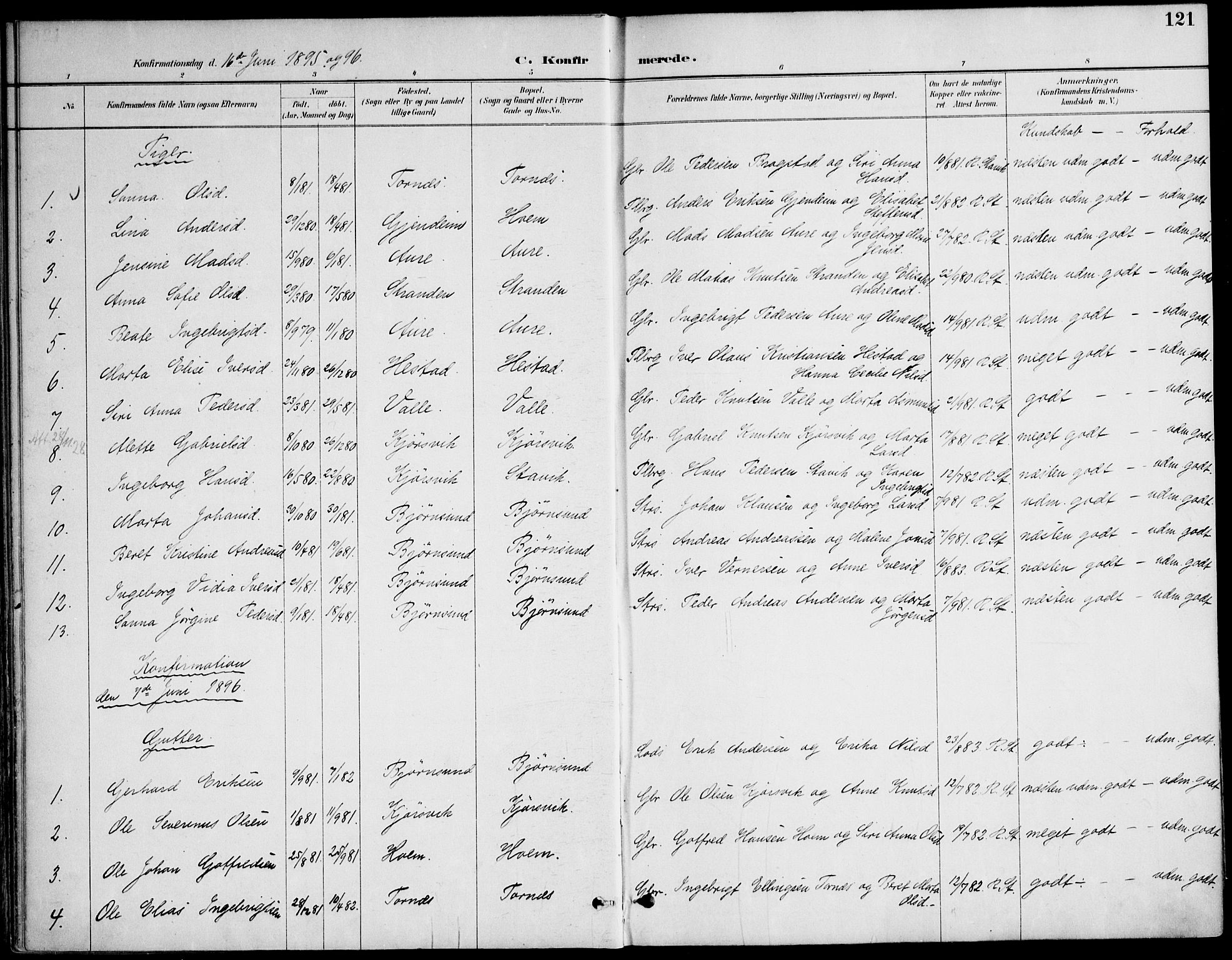 Ministerialprotokoller, klokkerbøker og fødselsregistre - Møre og Romsdal, AV/SAT-A-1454/565/L0750: Parish register (official) no. 565A04, 1887-1905, p. 121