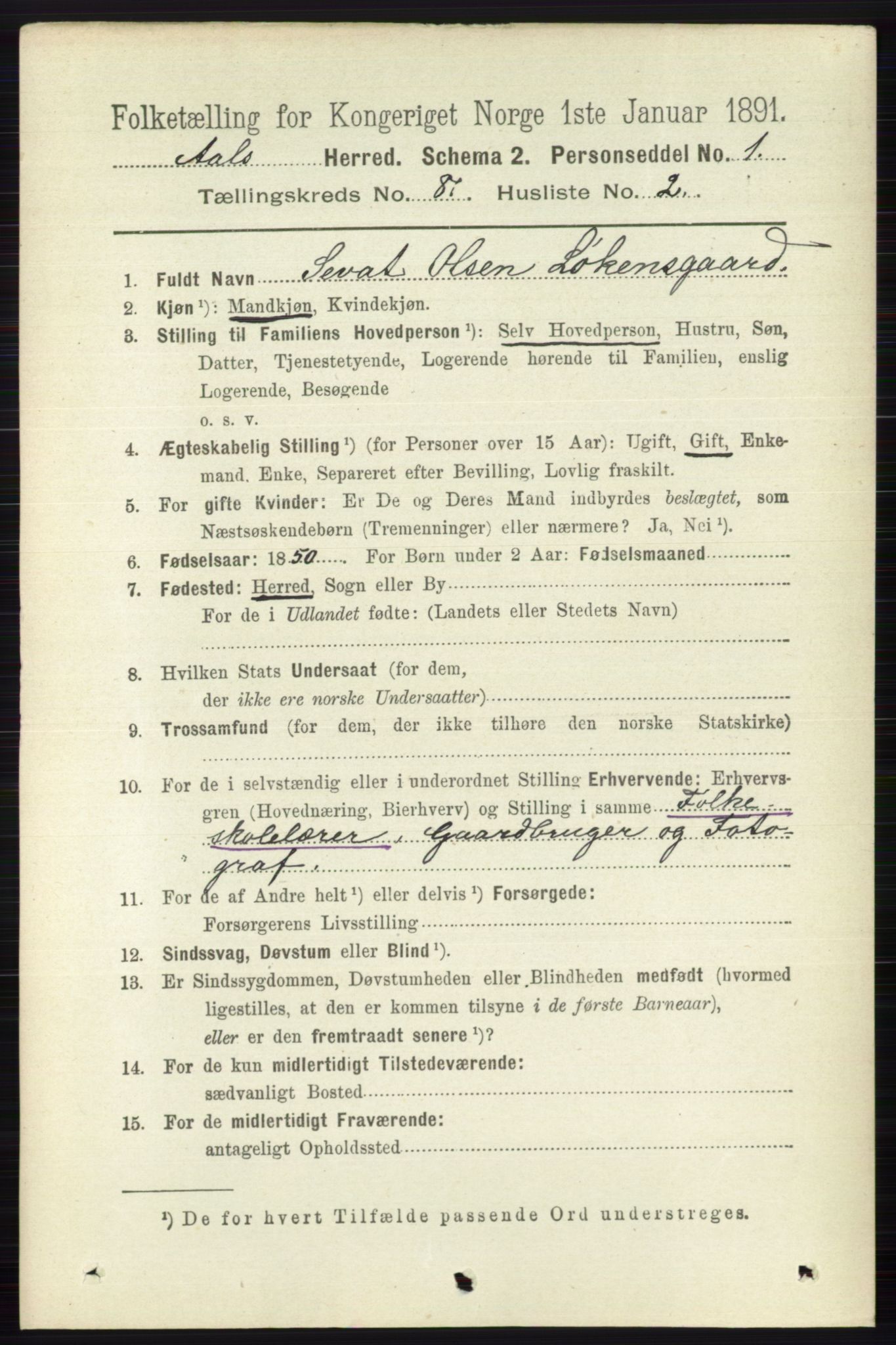 RA, 1891 census for 0619 Ål, 1891, p. 2099