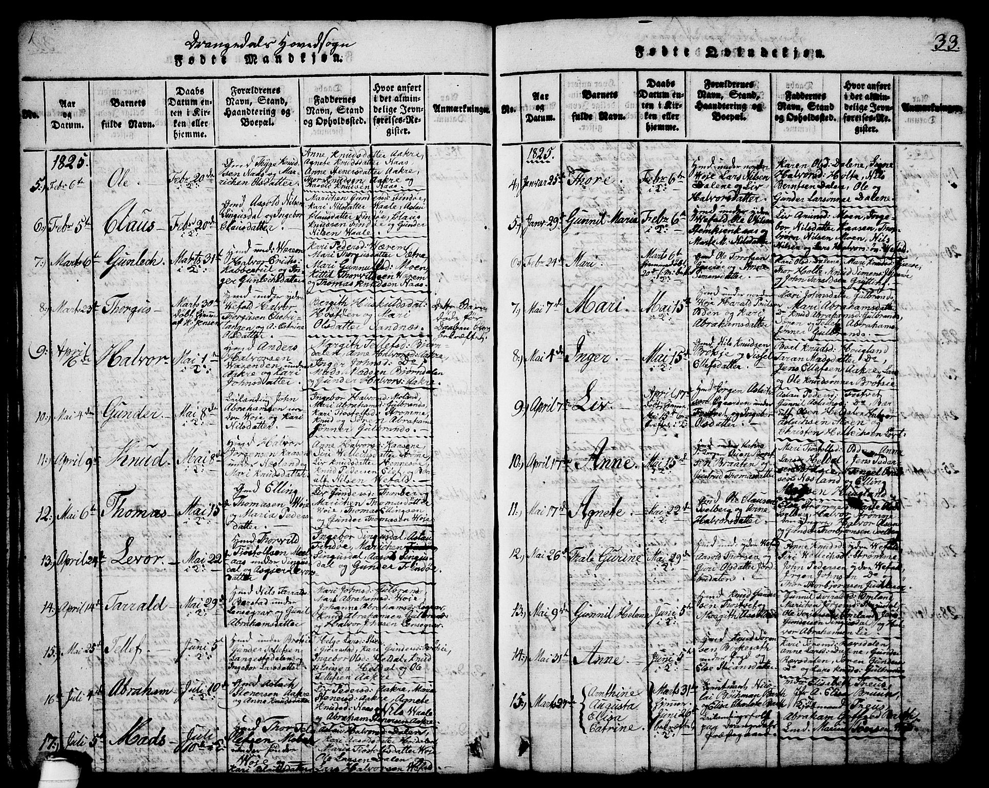 Drangedal kirkebøker, AV/SAKO-A-258/G/Ga/L0001: Parish register (copy) no. I 1 /1, 1814-1856, p. 33