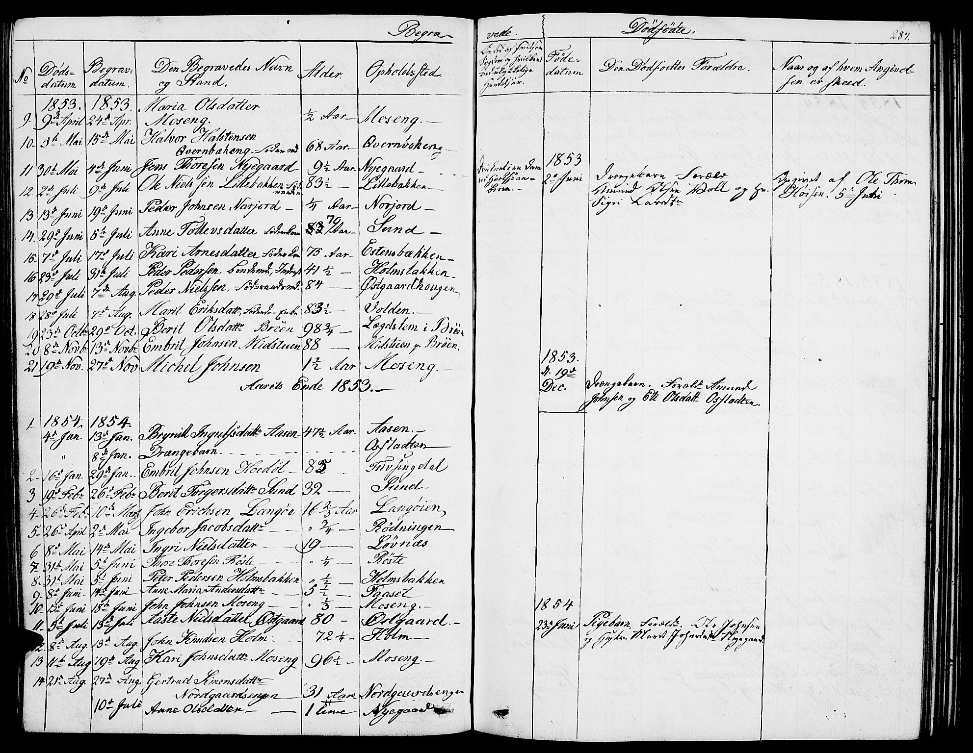 Tolga prestekontor, AV/SAH-PREST-062/L/L0004: Parish register (copy) no. 4, 1845-1887, p. 287