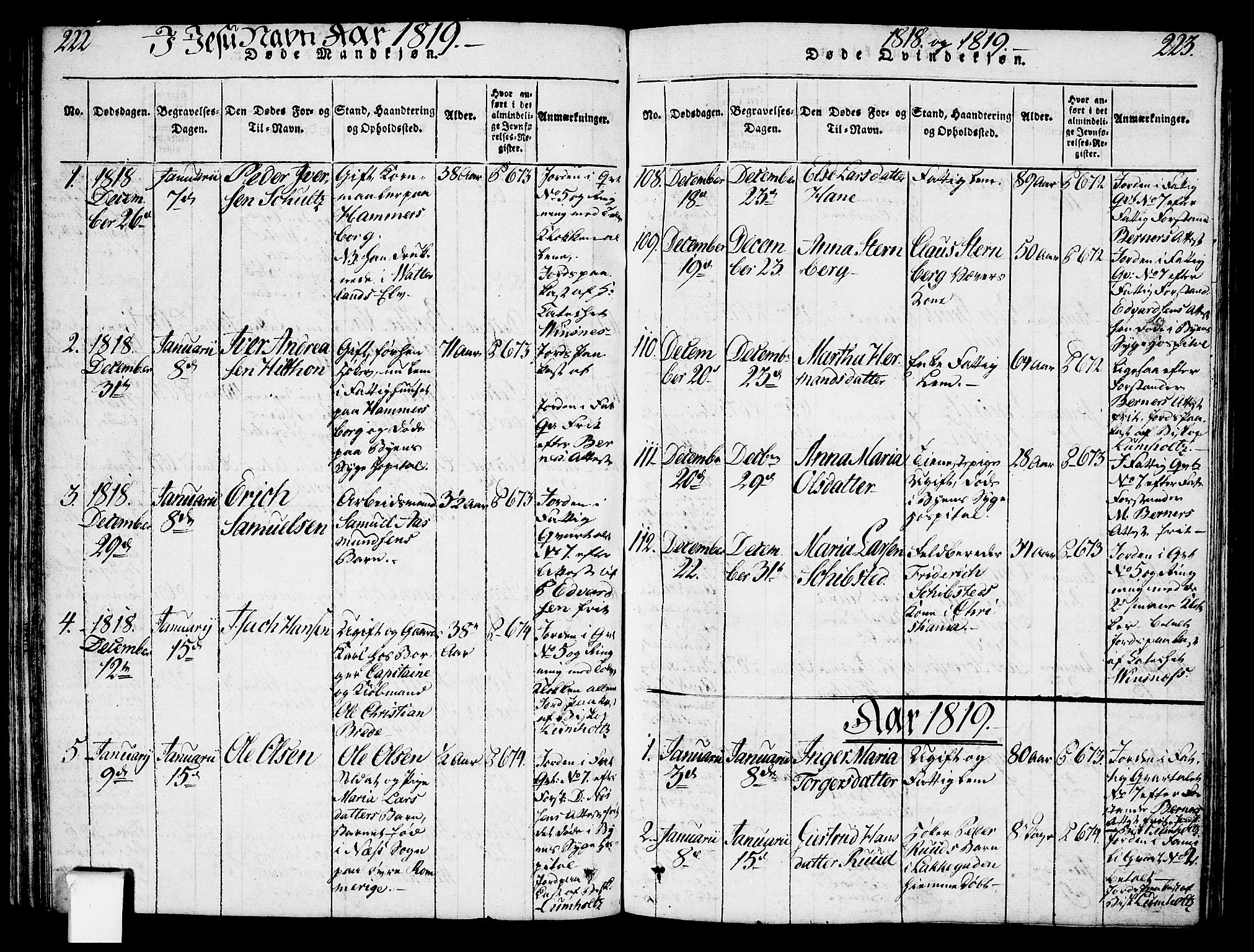 Oslo domkirke Kirkebøker, SAO/A-10752/F/Fa/L0007: Parish register (official) no. 7, 1817-1824, p. 222-223
