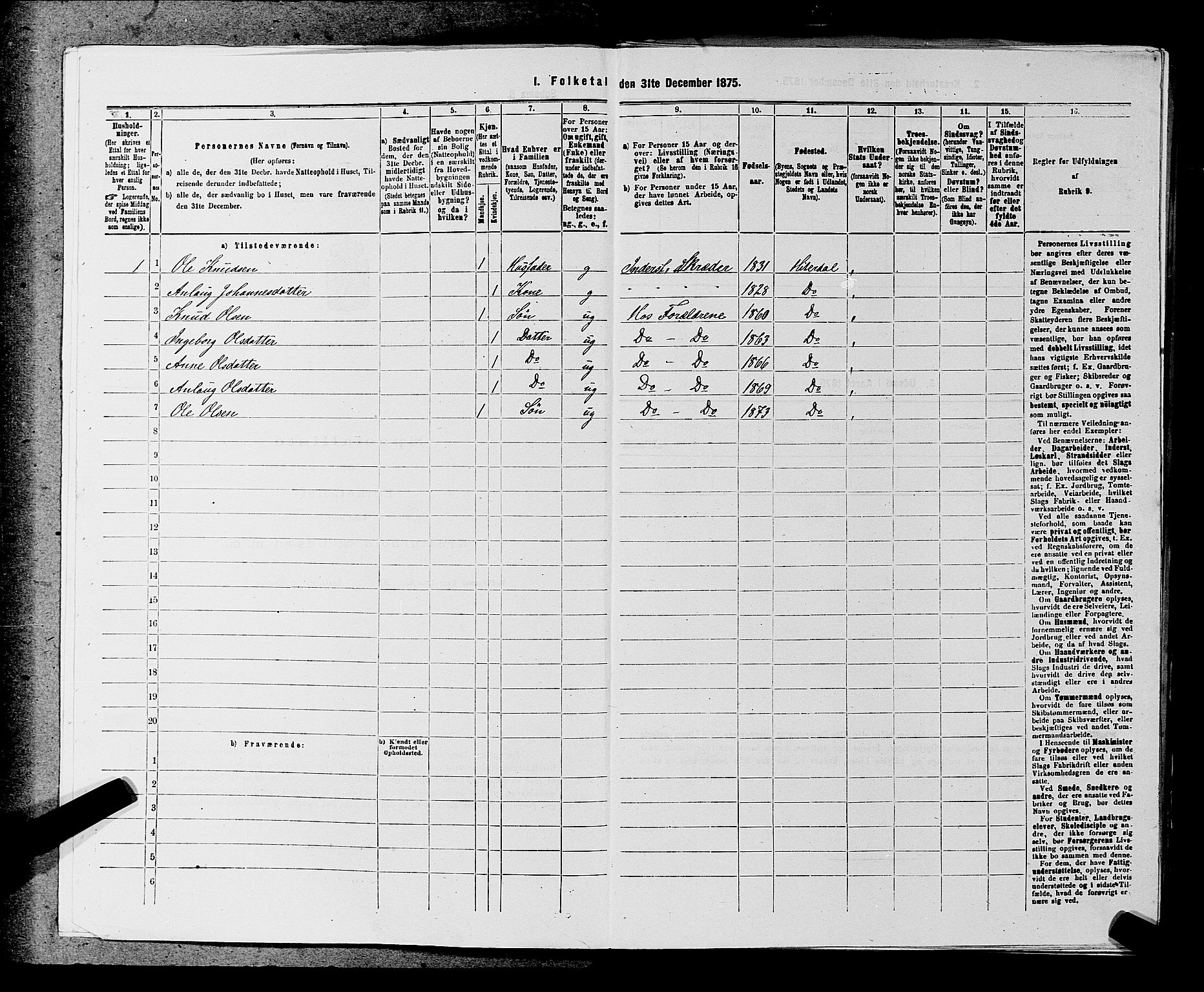 SAKO, 1875 census for 0823P Heddal, 1875, p. 705