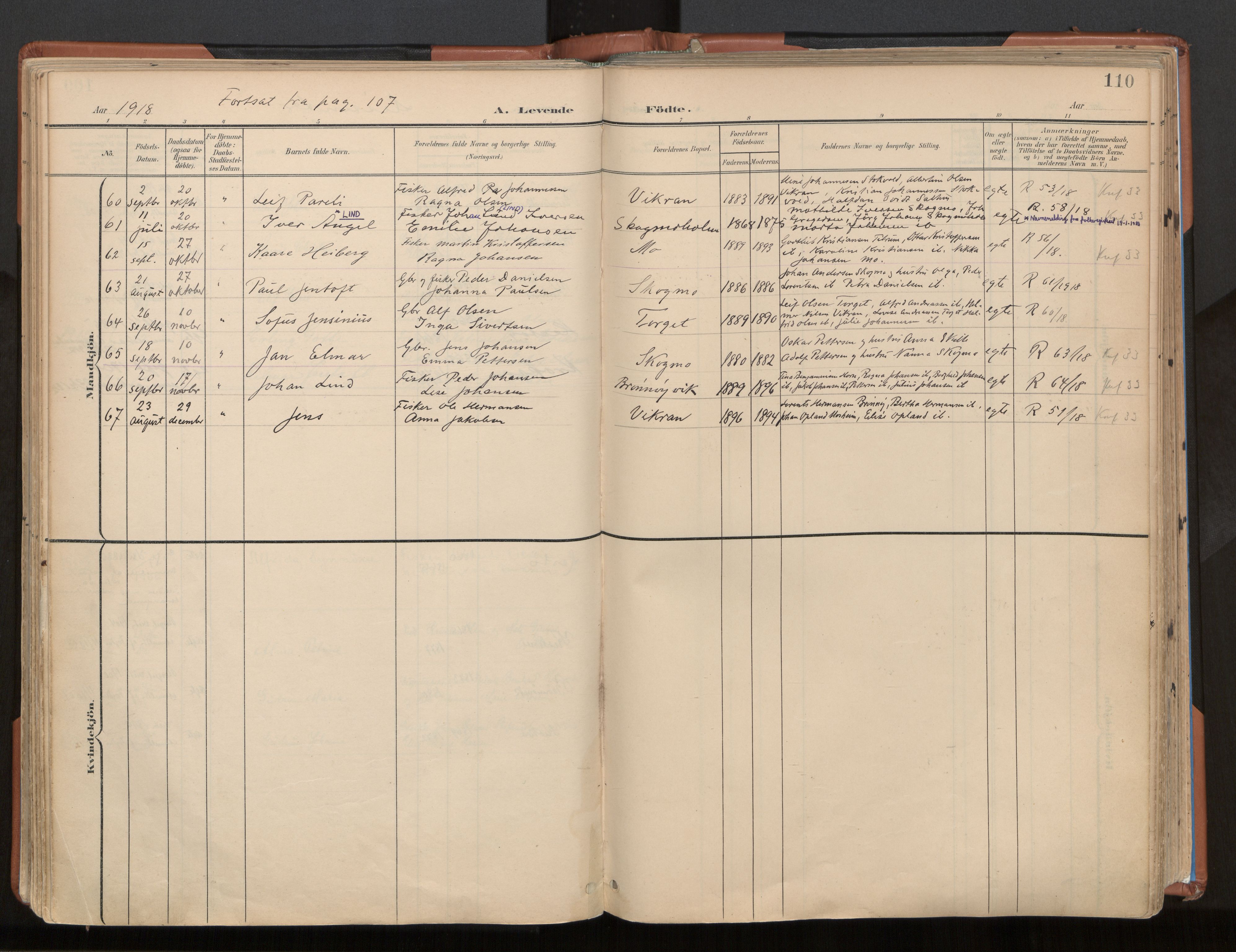 Ministerialprotokoller, klokkerbøker og fødselsregistre - Nordland, SAT/A-1459/813/L0201: Parish register (official) no. 813A11, 1901-1918, p. 110