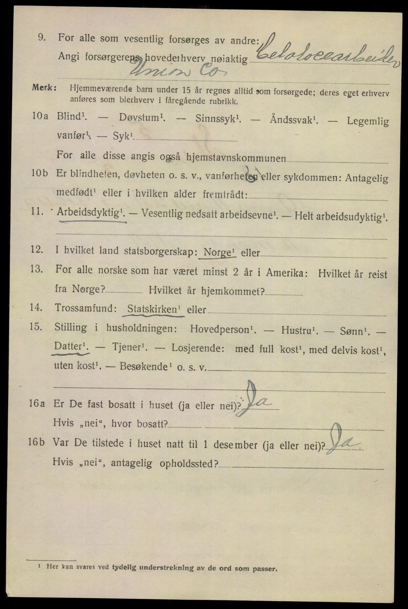 SAKO, 1920 census for Skien, 1920, p. 16935