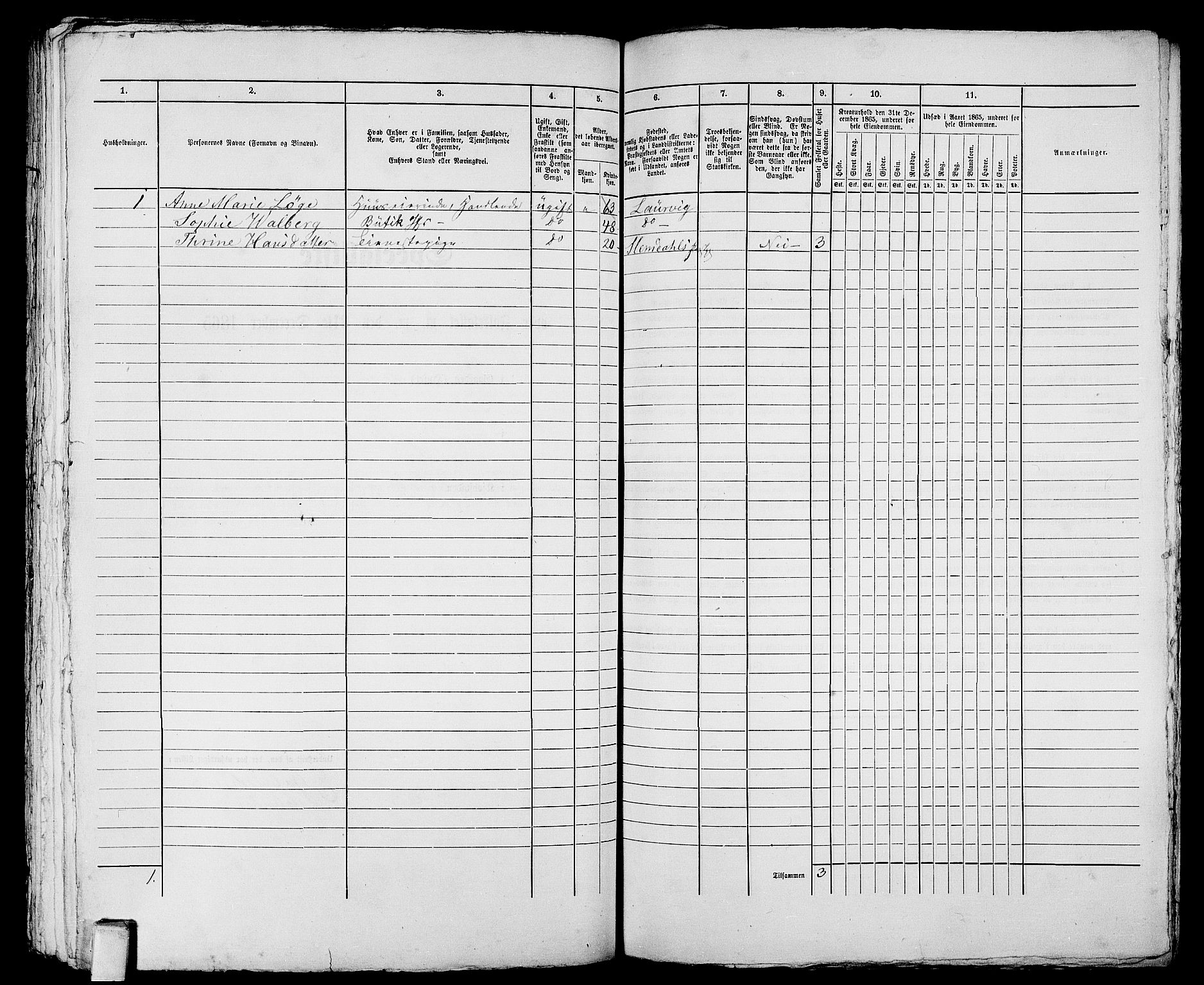 RA, 1865 census for Larvik, 1865, p. 1028