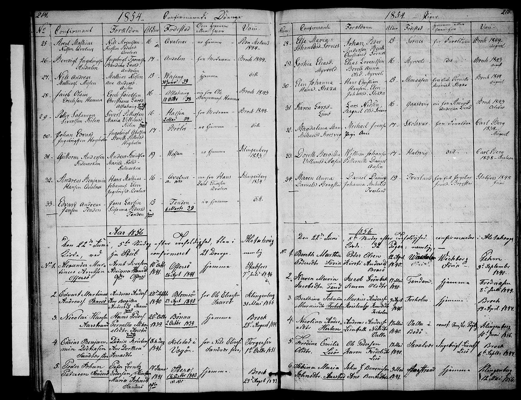 Ministerialprotokoller, klokkerbøker og fødselsregistre - Nordland, AV/SAT-A-1459/830/L0460: Parish register (copy) no. 830C02, 1843-1865, p. 214-215