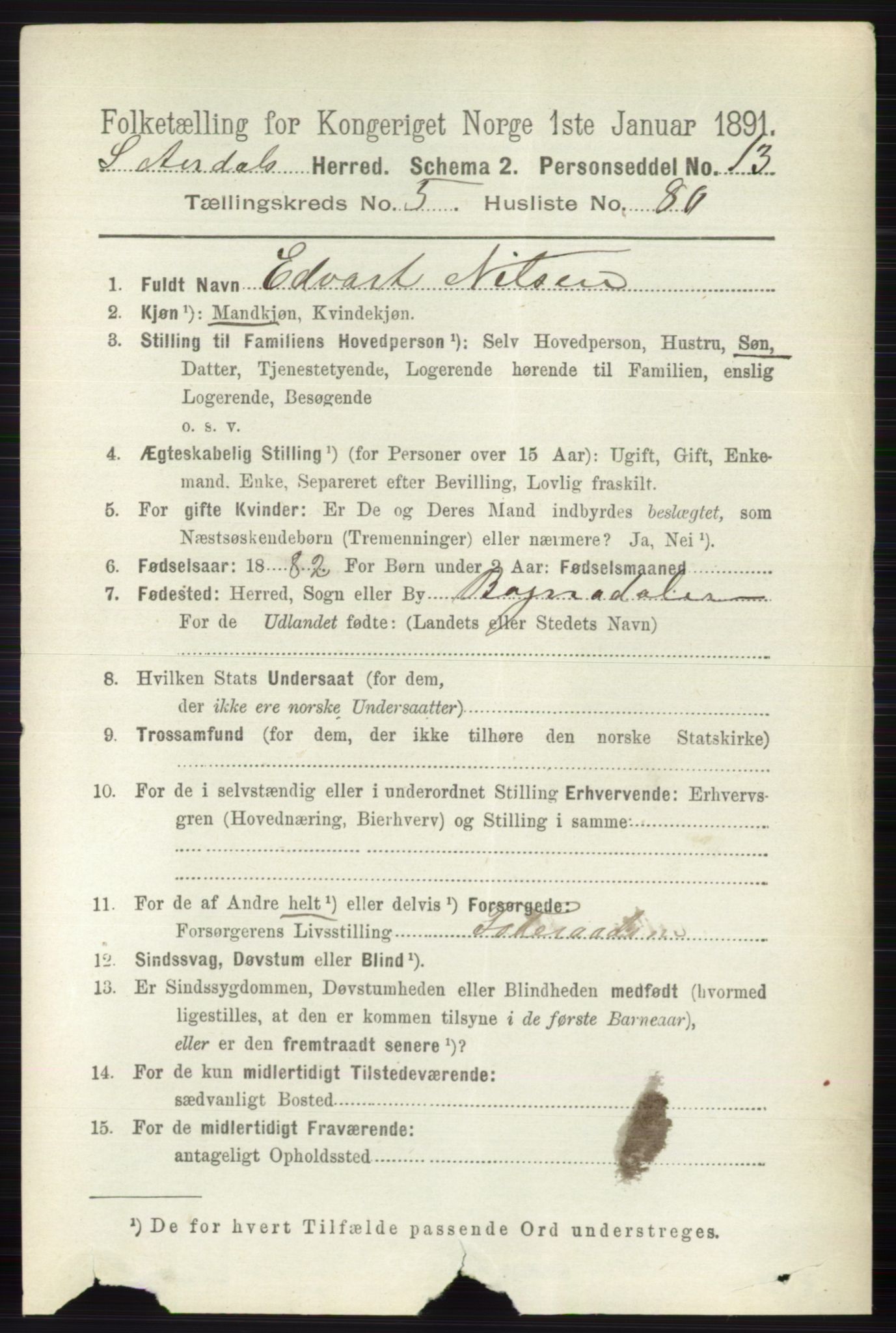 RA, 1891 census for 0540 Sør-Aurdal, 1891, p. 3724