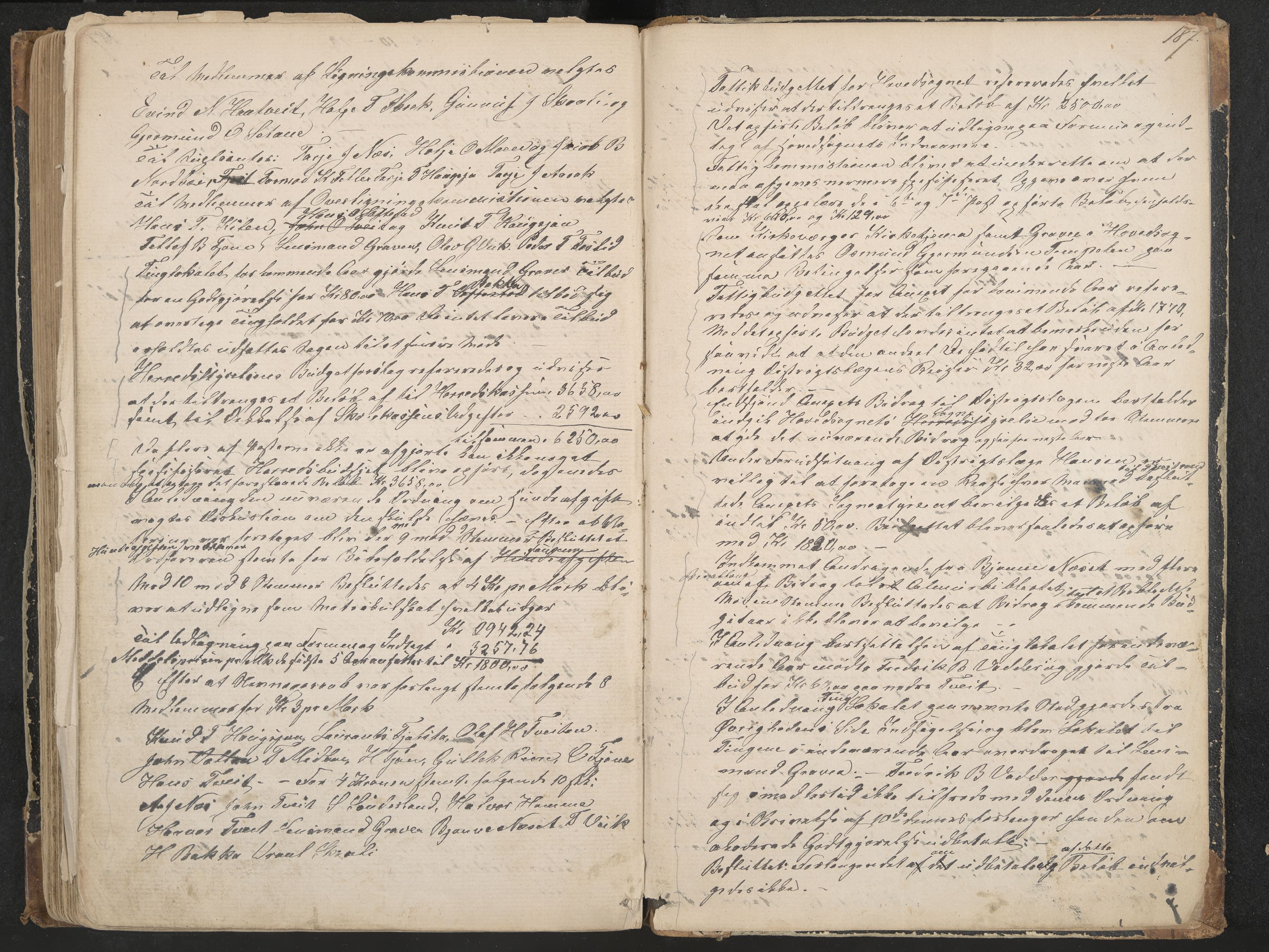 Nissedal formannskap og sentraladministrasjon, IKAK/0830021-1/A/L0002: Møtebok, 1870-1892, p. 187