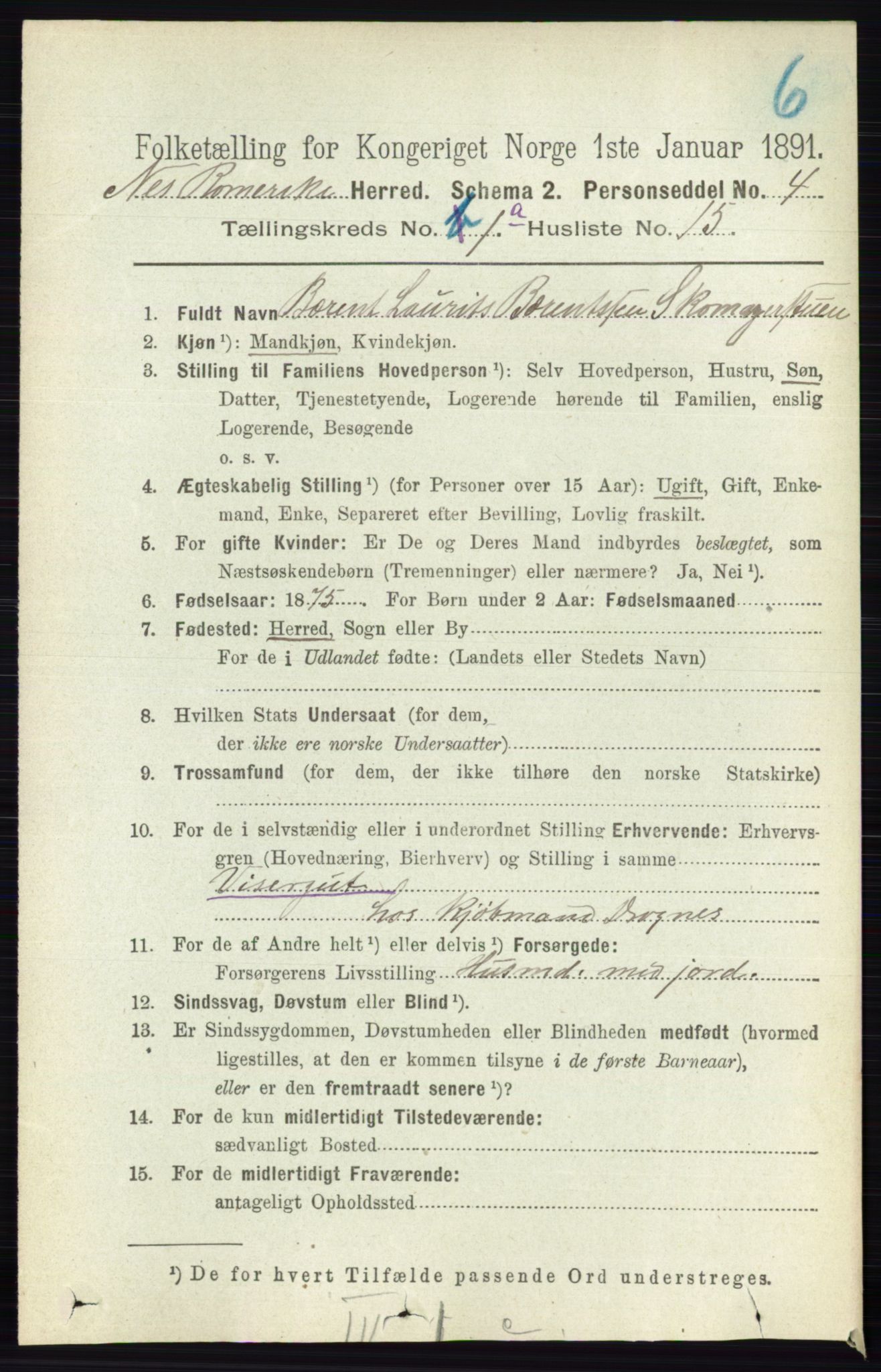 RA, 1891 census for 0236 Nes, 1891, p. 208