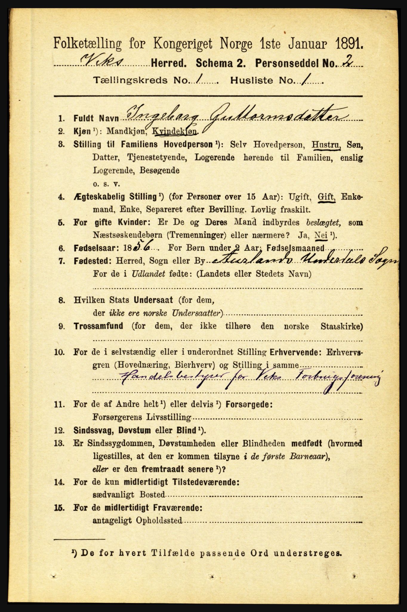 RA, 1891 census for 1417 Vik, 1891, p. 134