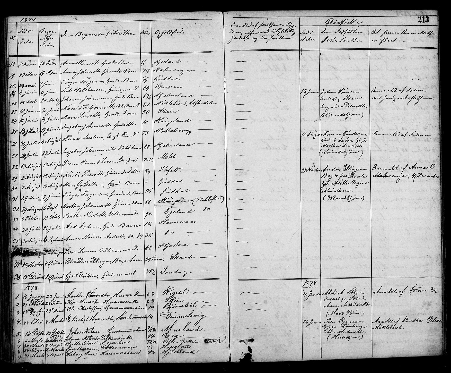 Kvinnherad sokneprestembete, SAB/A-76401/H/Hab: Parish register (copy) no. A 2, 1873-1900, p. 213