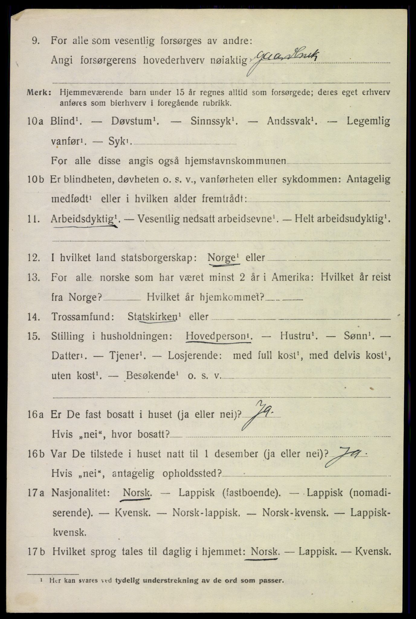 SAT, 1920 census for Tysfjord, 1920, p. 3088