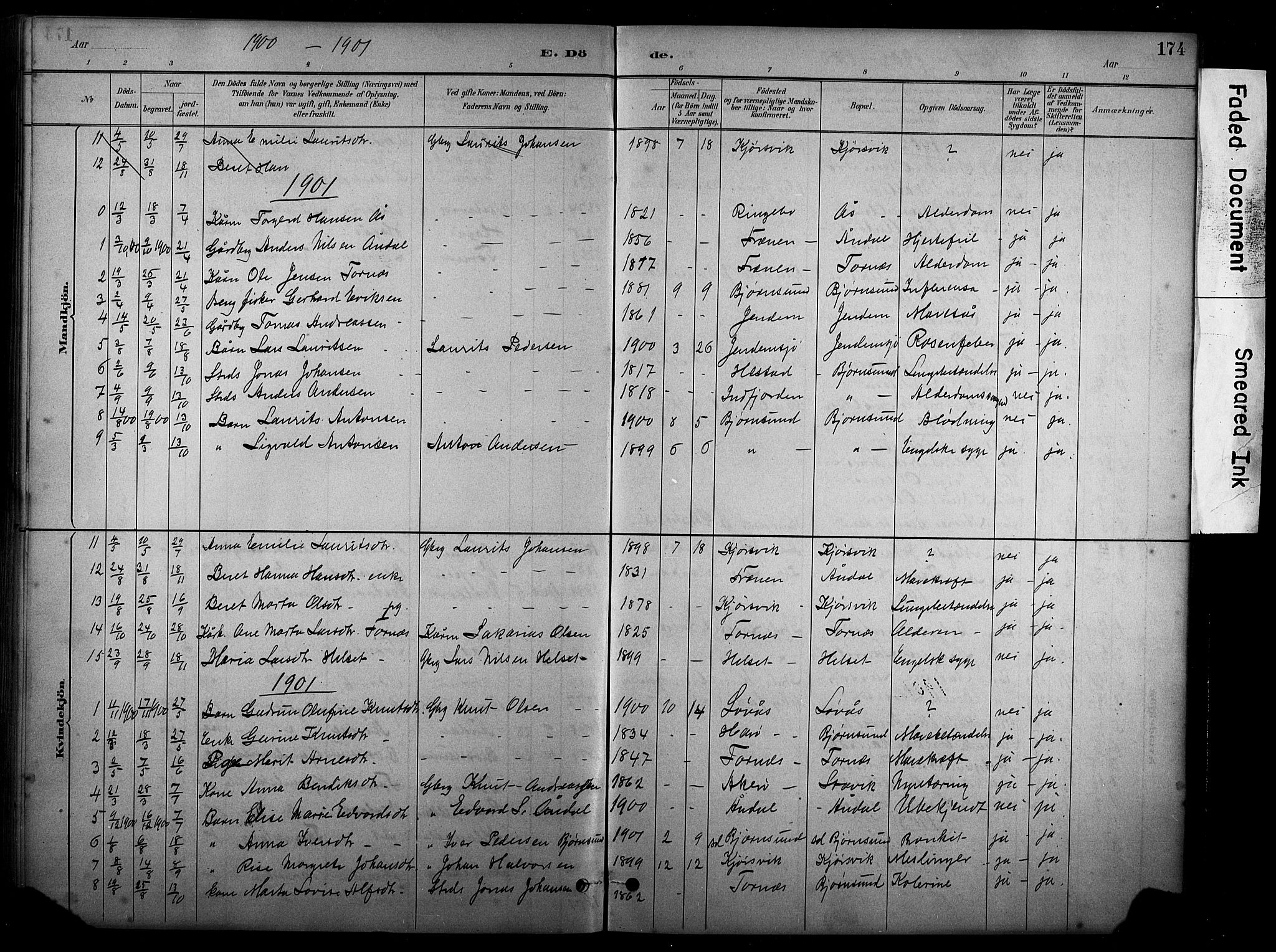 Ministerialprotokoller, klokkerbøker og fødselsregistre - Møre og Romsdal, SAT/A-1454/565/L0755: Parish register (copy) no. 565C04, 1883-1903, p. 174