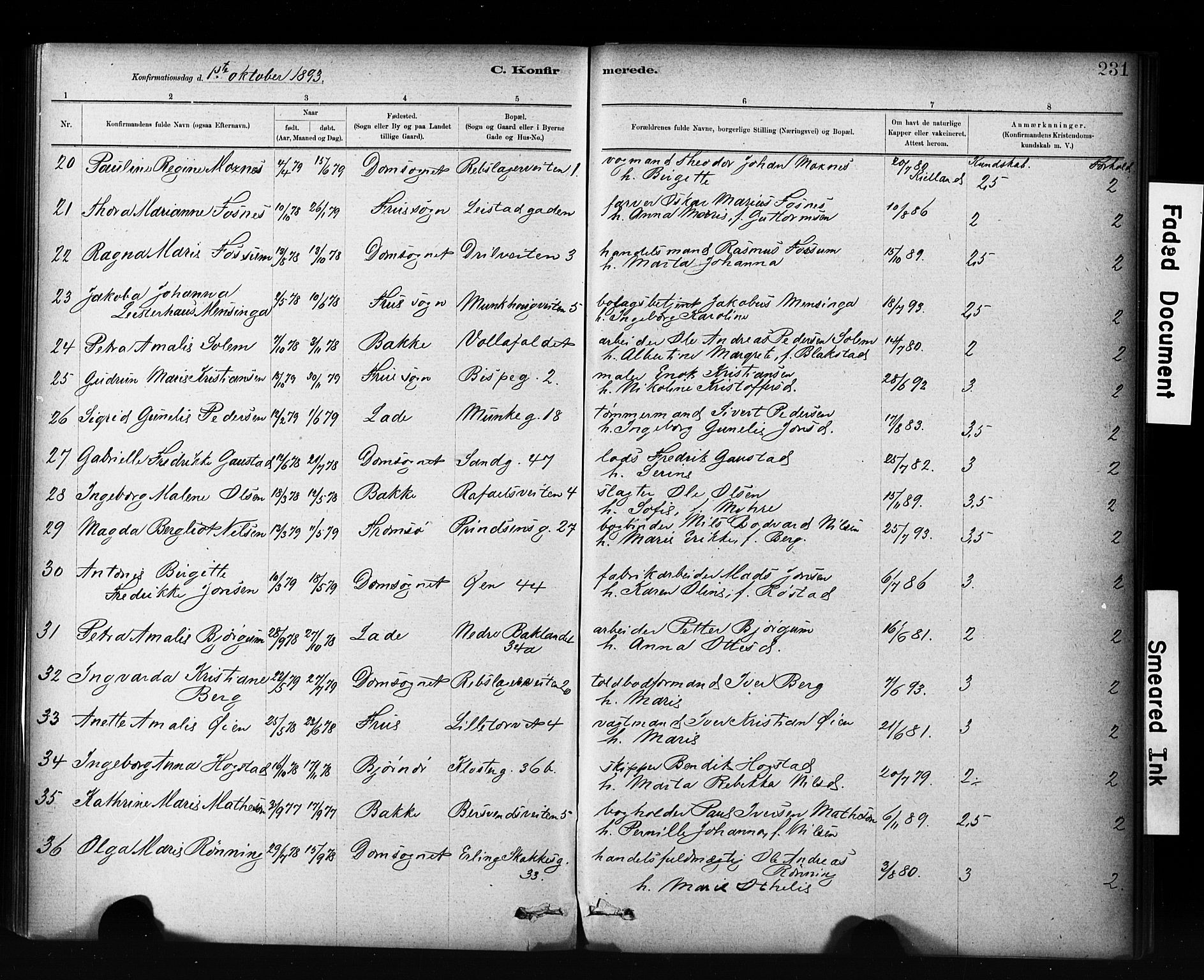 Ministerialprotokoller, klokkerbøker og fødselsregistre - Sør-Trøndelag, AV/SAT-A-1456/601/L0071: Curate's parish register no. 601B04, 1882-1931, p. 231