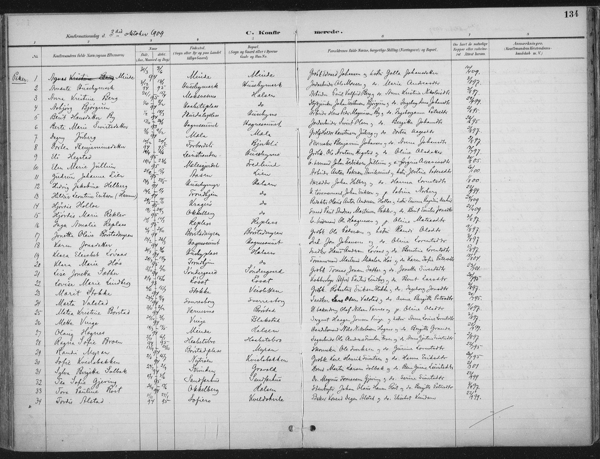Ministerialprotokoller, klokkerbøker og fødselsregistre - Nord-Trøndelag, SAT/A-1458/709/L0082: Parish register (official) no. 709A22, 1896-1916, p. 134