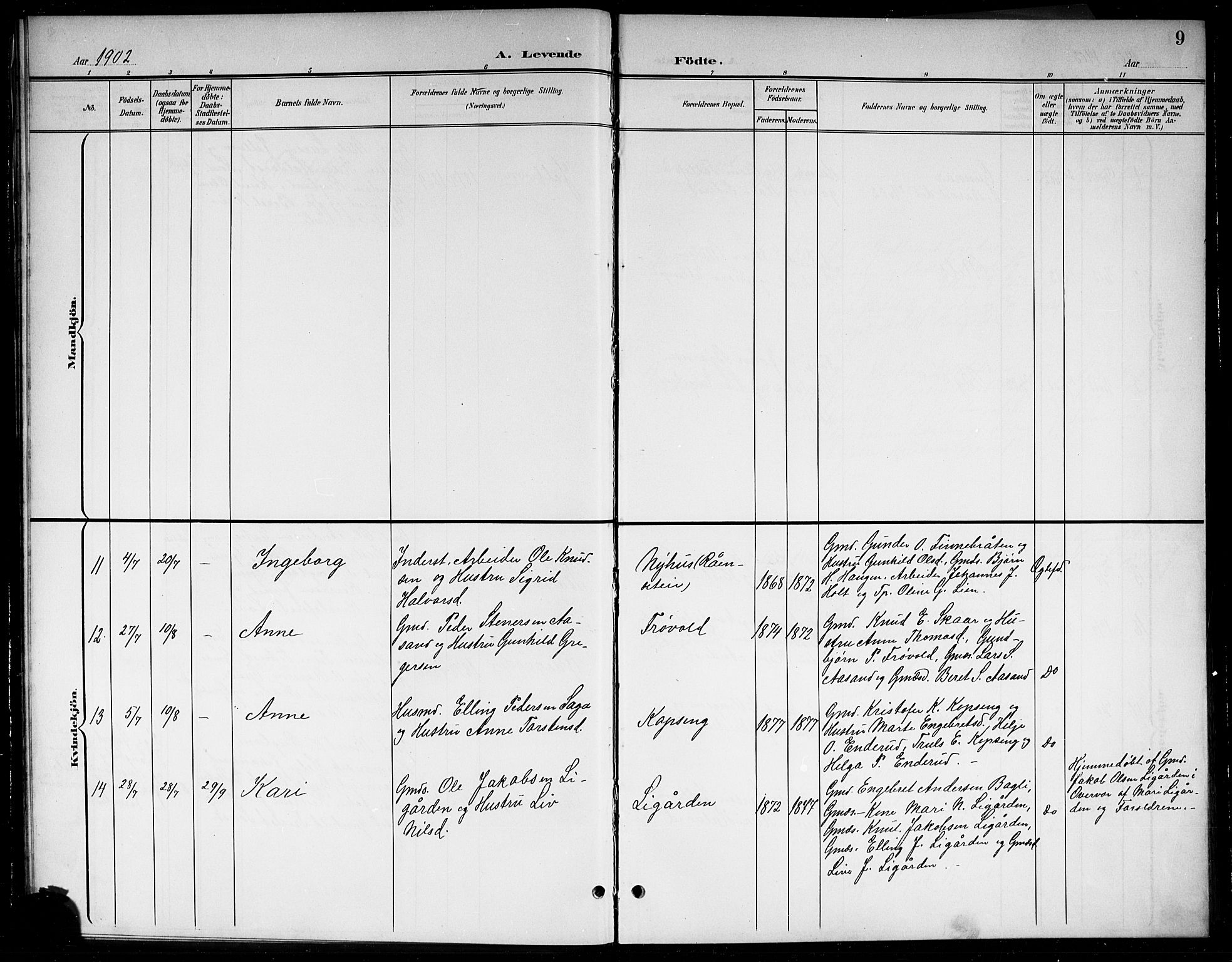 Sigdal kirkebøker, AV/SAKO-A-245/G/Gb/L0003: Parish register (copy) no. II 3, 1901-1916, p. 9