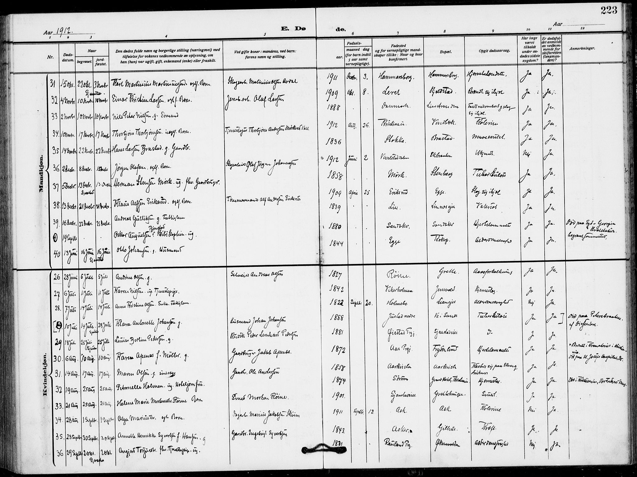 Lier kirkebøker, AV/SAKO-A-230/F/Fa/L0018: Parish register (official) no. I 18, 1909-1917, p. 223