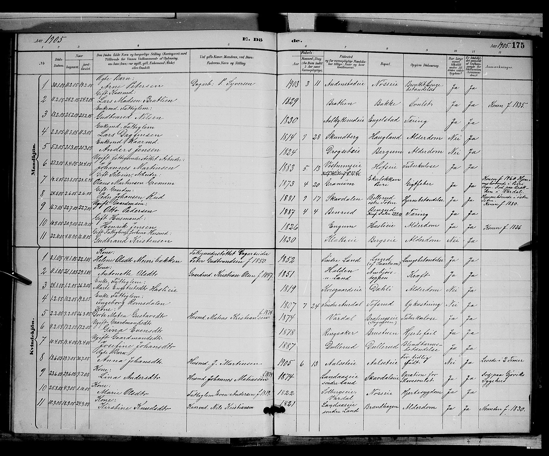 Biri prestekontor, SAH/PREST-096/H/Ha/Hab/L0003: Parish register (copy) no. 3, 1892-1905, p. 175