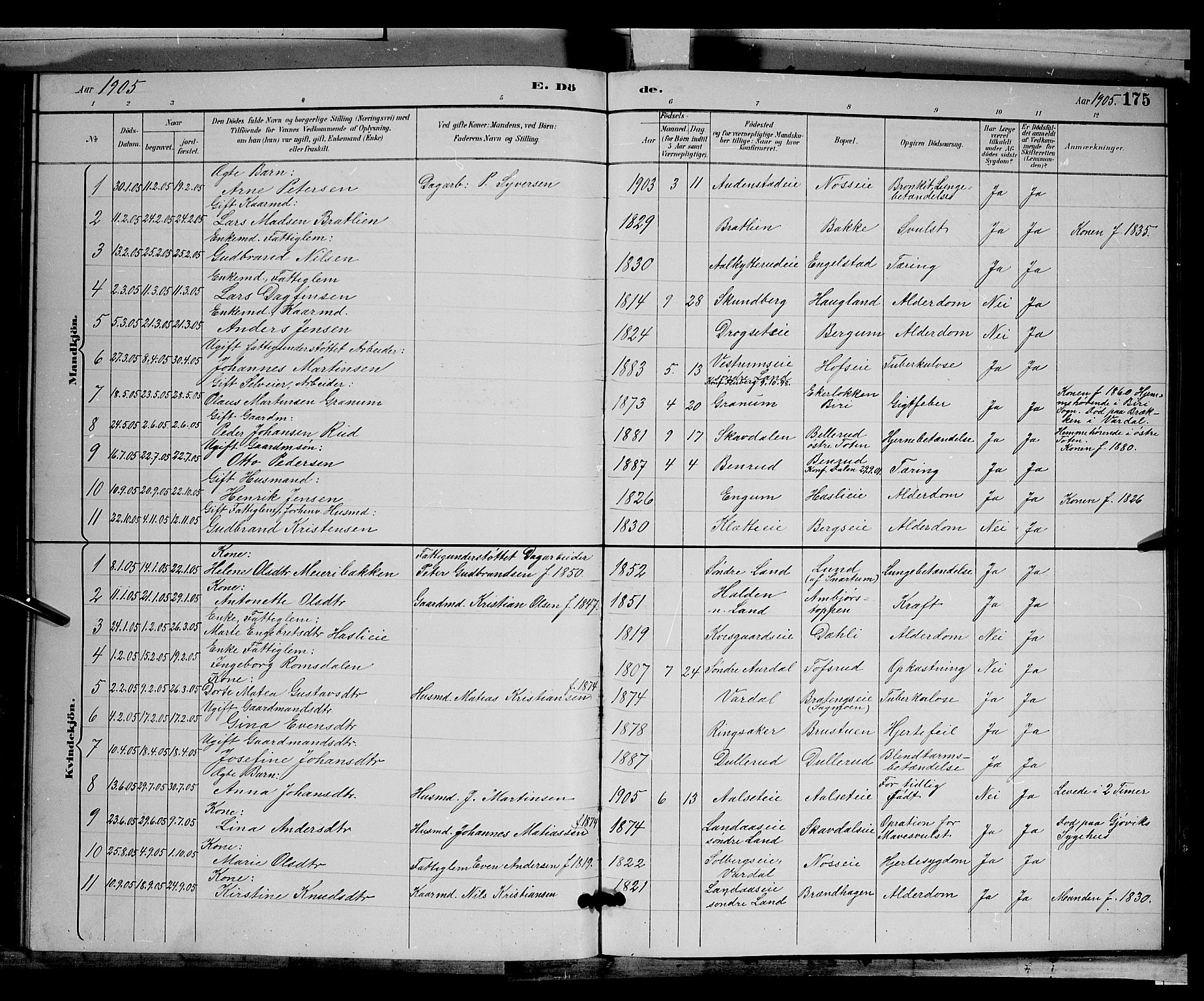 Biri prestekontor, AV/SAH-PREST-096/H/Ha/Hab/L0003: Parish register (copy) no. 3, 1892-1905, p. 175