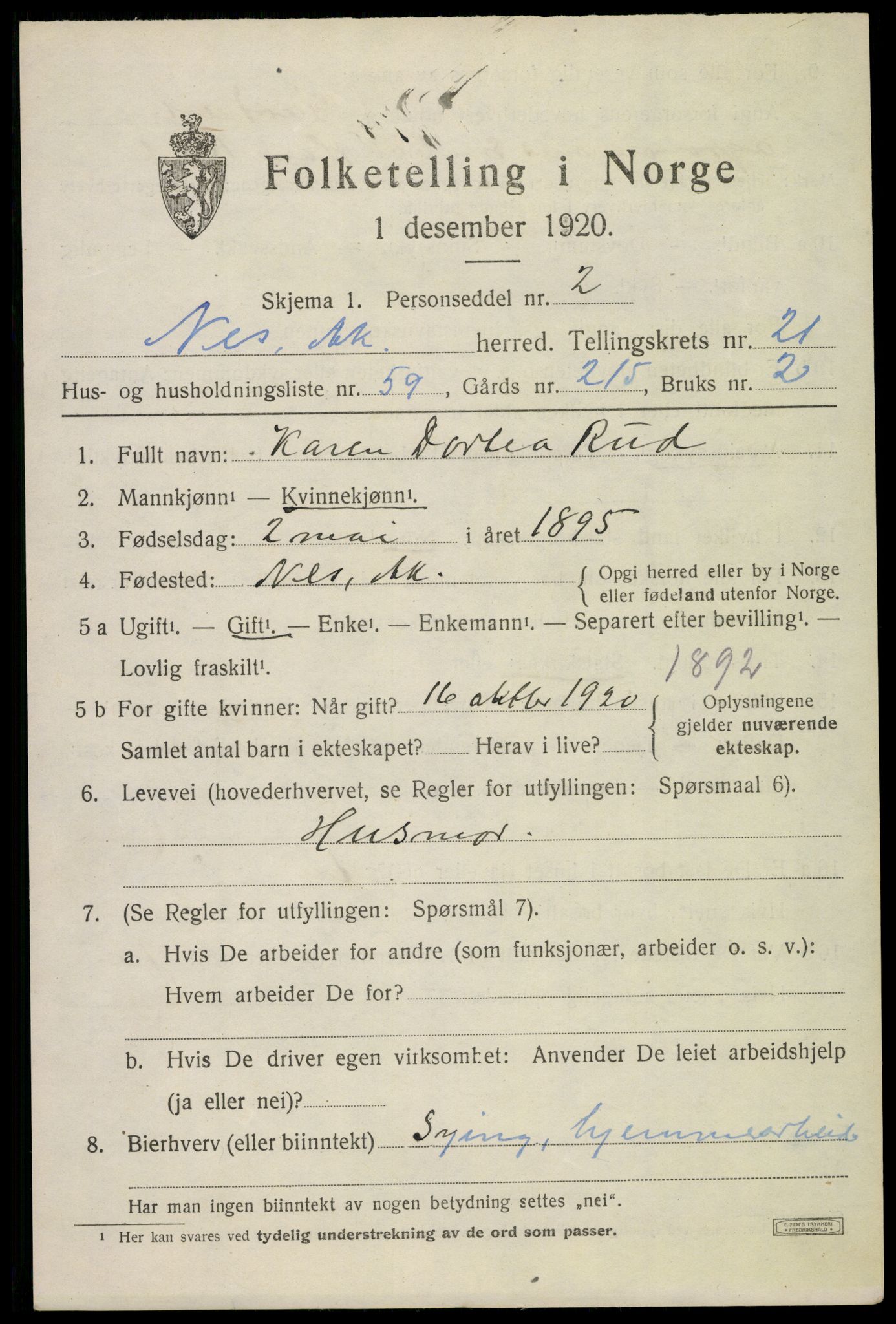 SAO, 1920 census for Nes, 1920, p. 22520