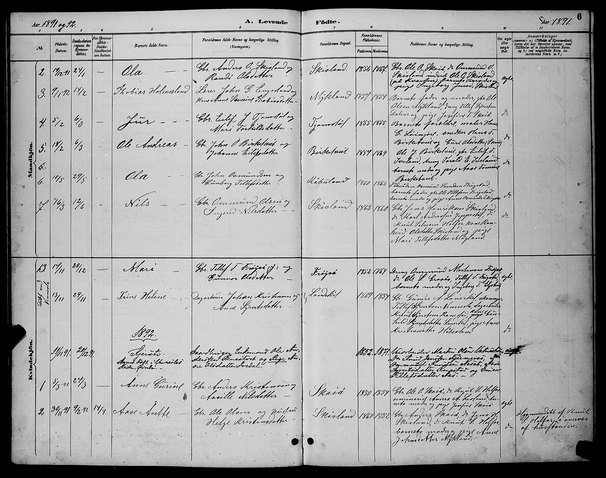 Evje sokneprestkontor, AV/SAK-1111-0008/F/Fb/Fbc/L0004: Parish register (copy) no. B 4, 1890-1900, p. 6