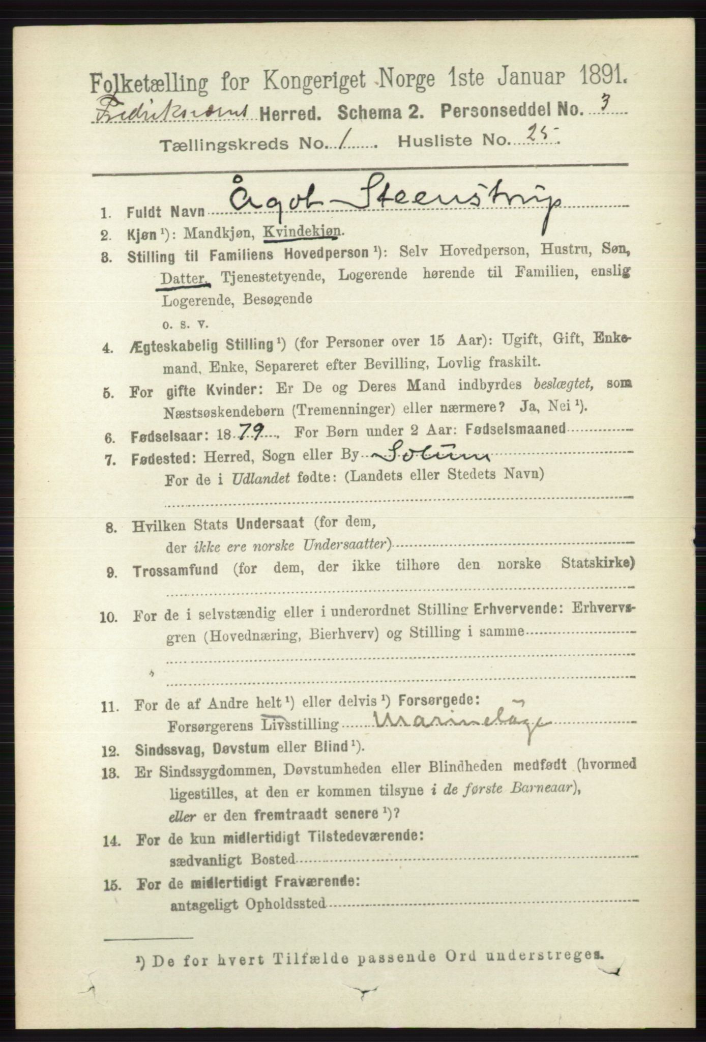 RA, 1891 census for 0798 Fredriksvern, 1891, p. 211