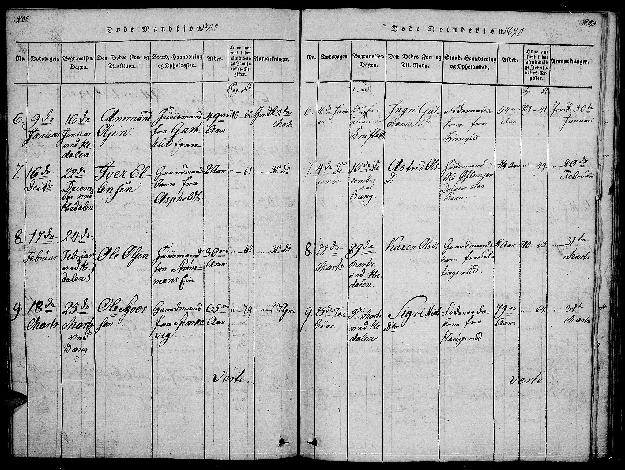Sør-Aurdal prestekontor, SAH/PREST-128/H/Ha/Hab/L0001: Parish register (copy) no. 1, 1815-1826, p. 202-203